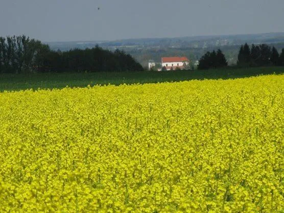 Hiking in Kurnik Polski agroturystyka