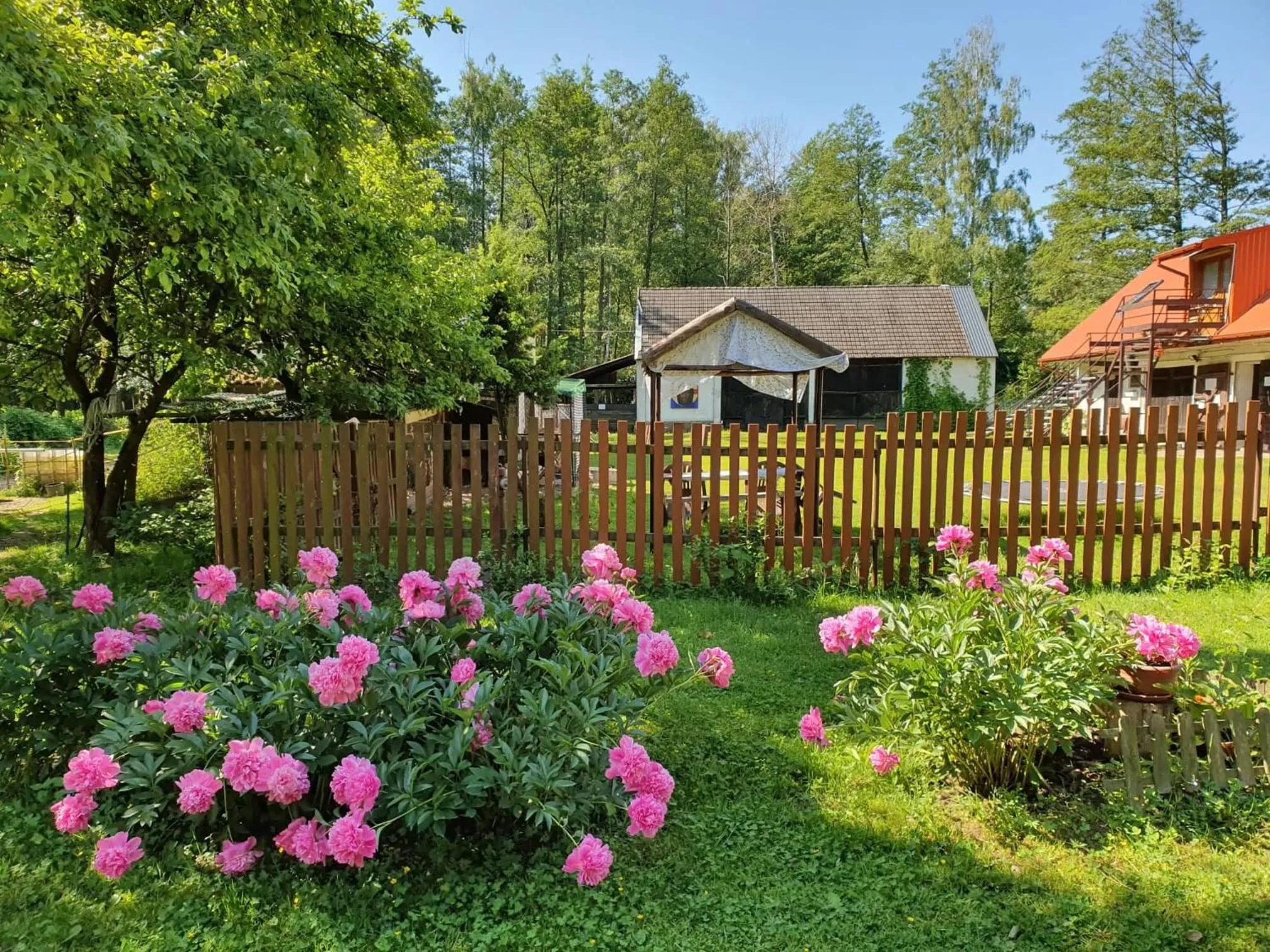 Garden in Kurnik Polski agroturystyka