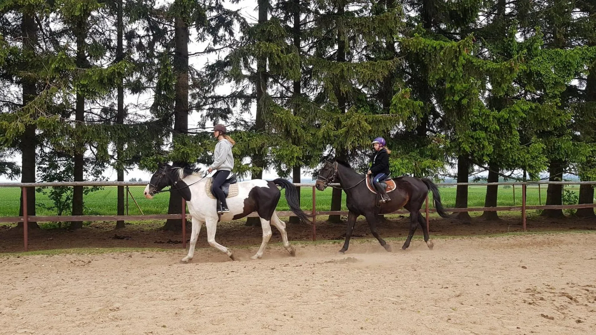 People in Kurnik Polski agroturystyka