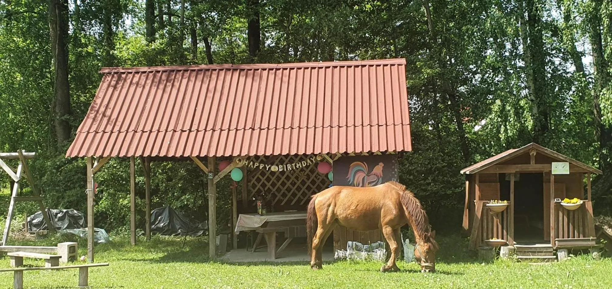 Garden view in Kurnik Polski agroturystyka
