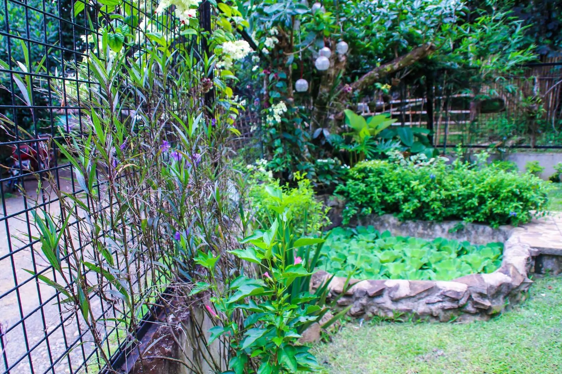 Garden in Camote's Lake Retreat