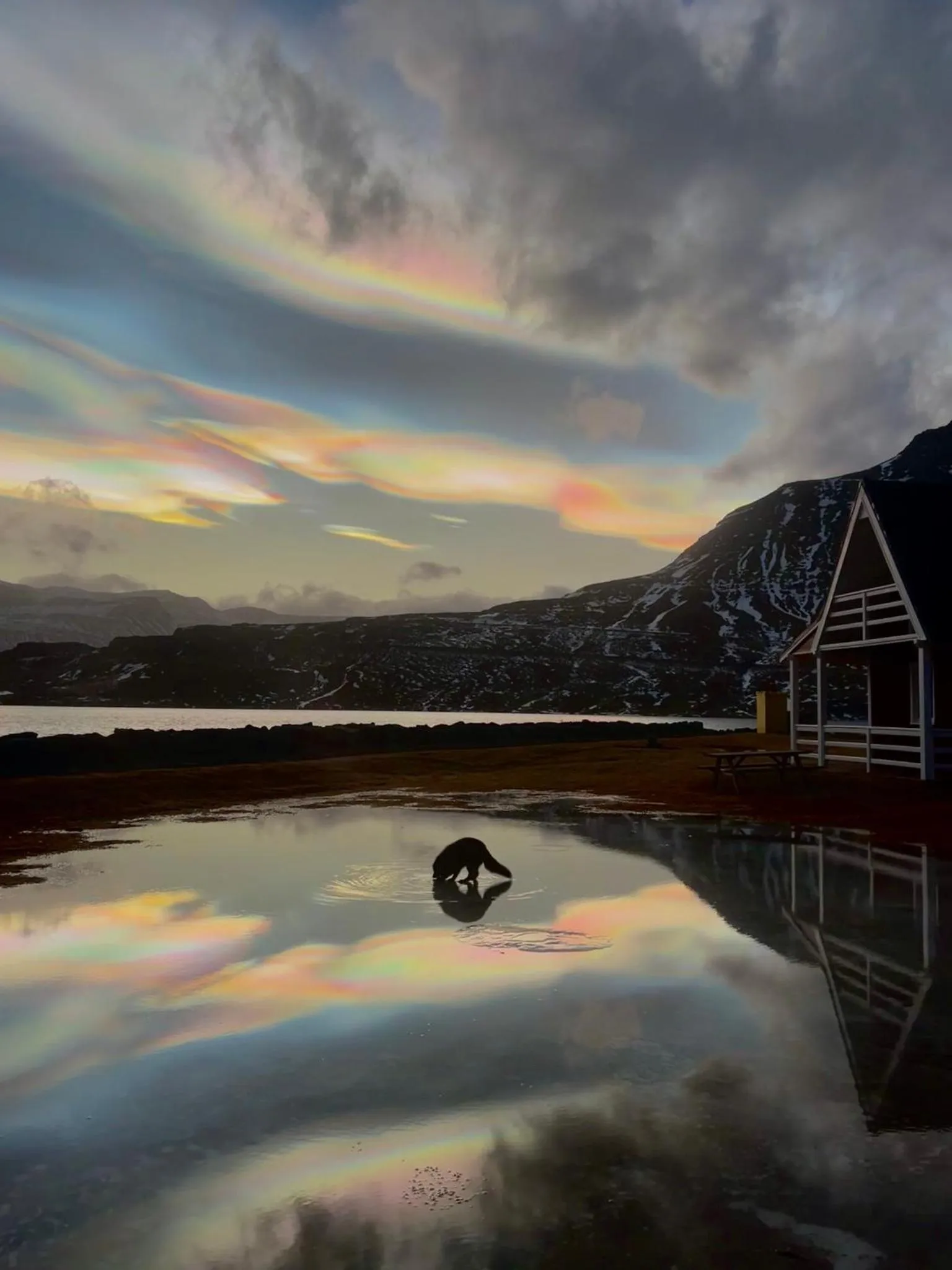 Property building in Mjoeyri Travel Holiday Homes