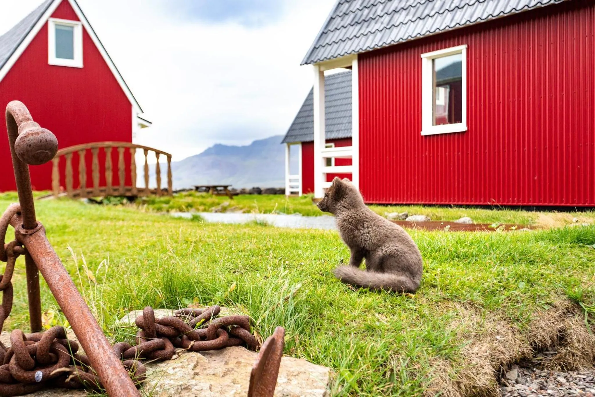 Area and facilities in Mjoeyri Travel Holiday Homes