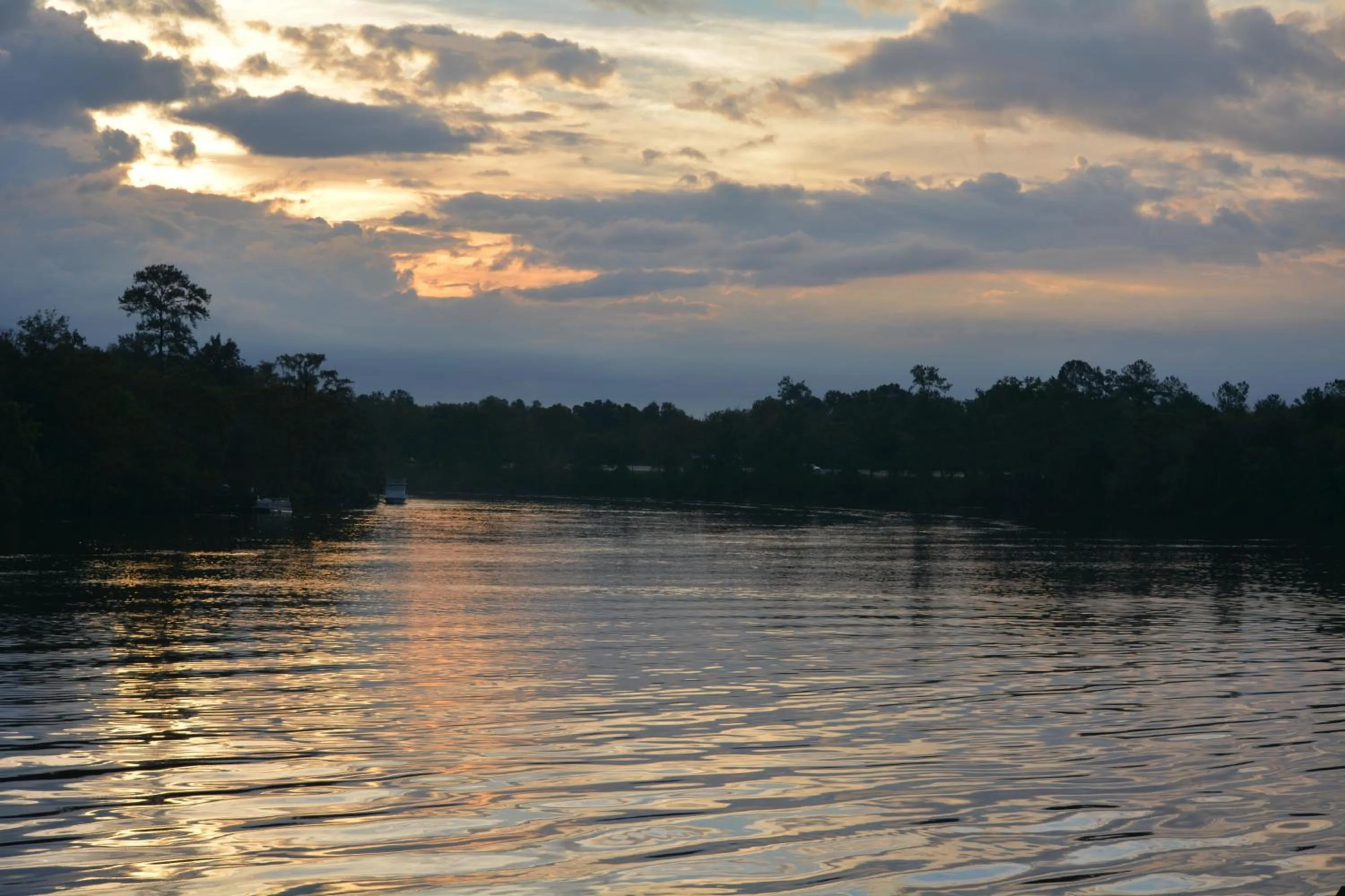 Natural landscape in The Suwannee Gables Motel & Marina