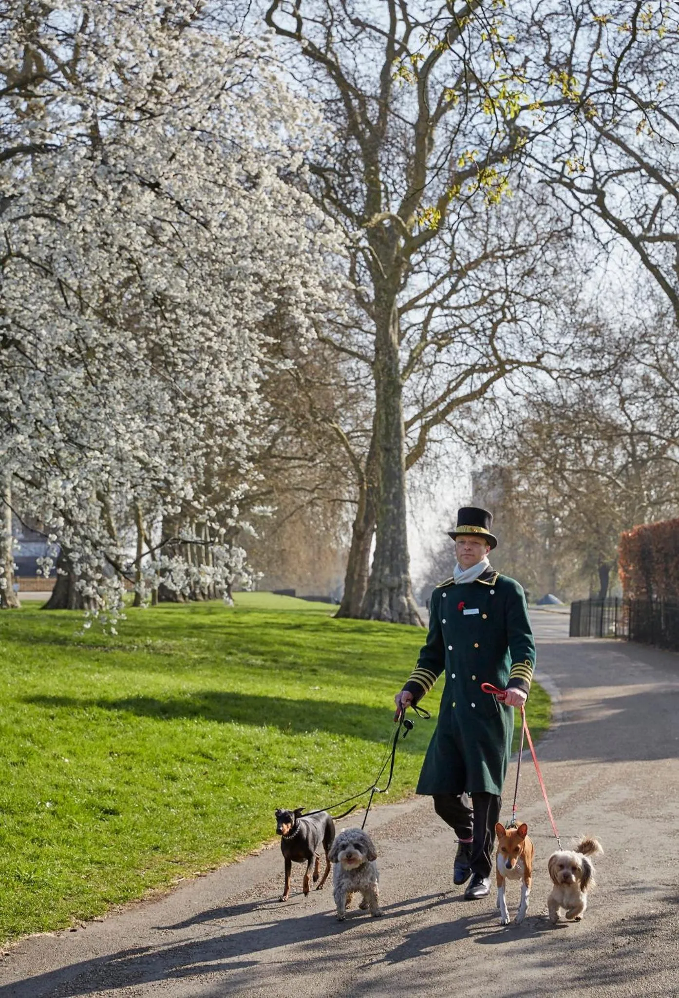 Pets in Milestone Hotel Kensington