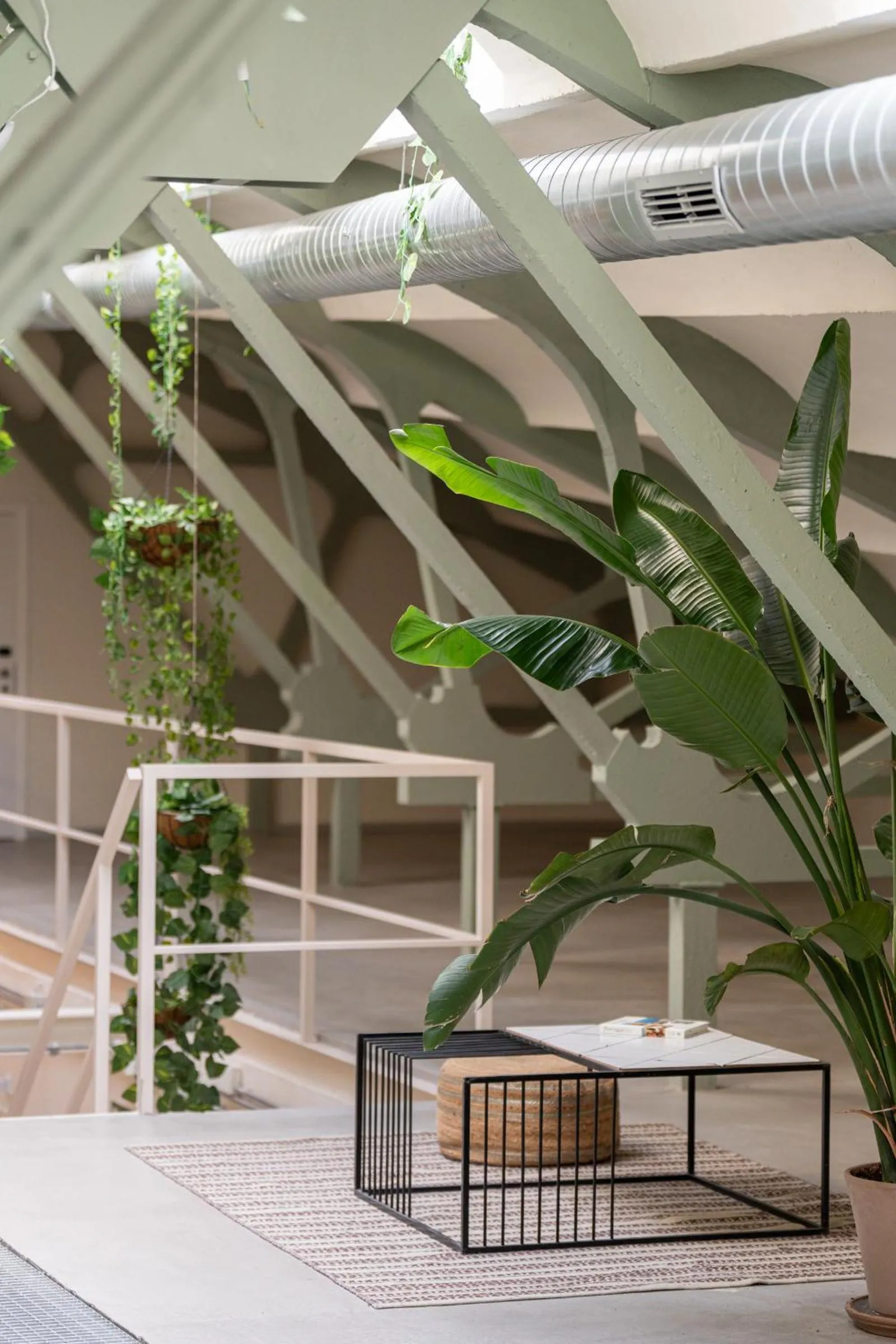 Other in Ola Living Hostal Tetuan