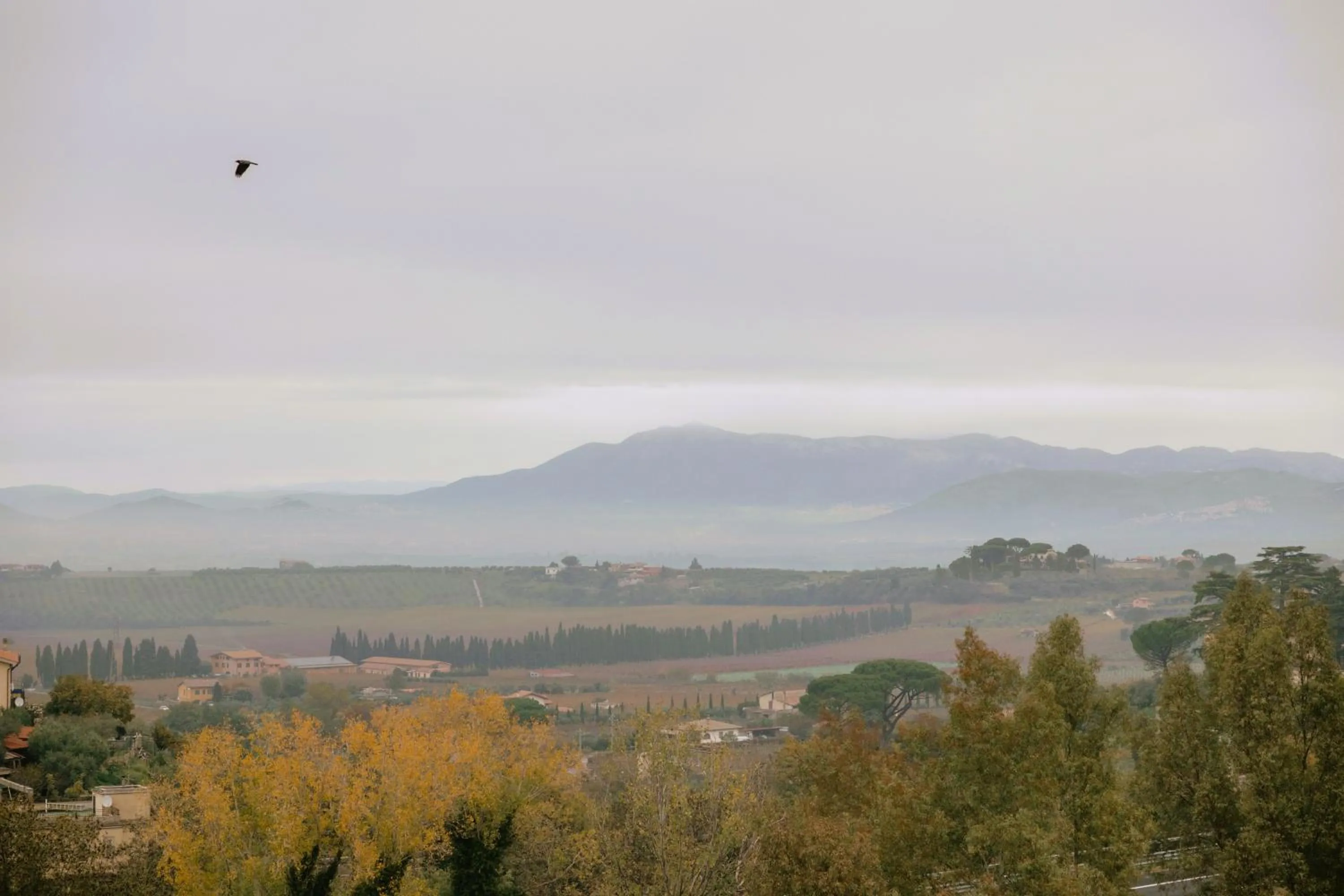 View (from property/room) in Green Hotel Poggio Regillo