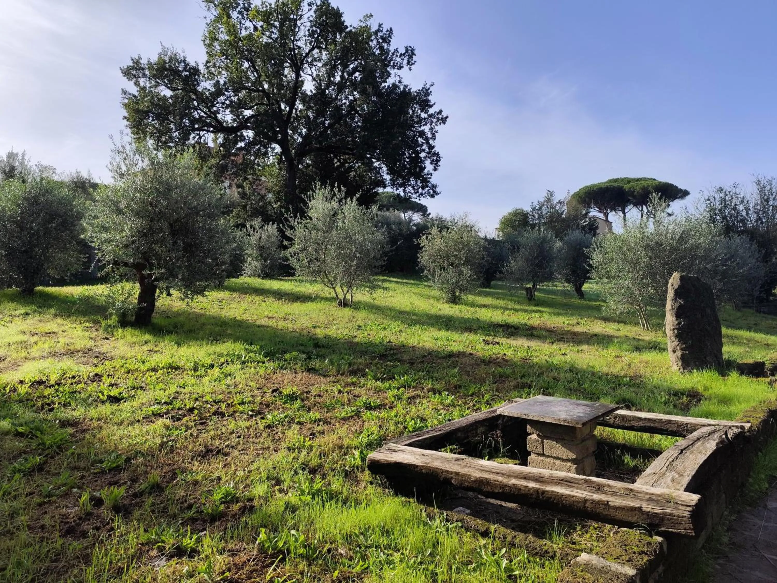 Natural landscape in Green Hotel Poggio Regillo