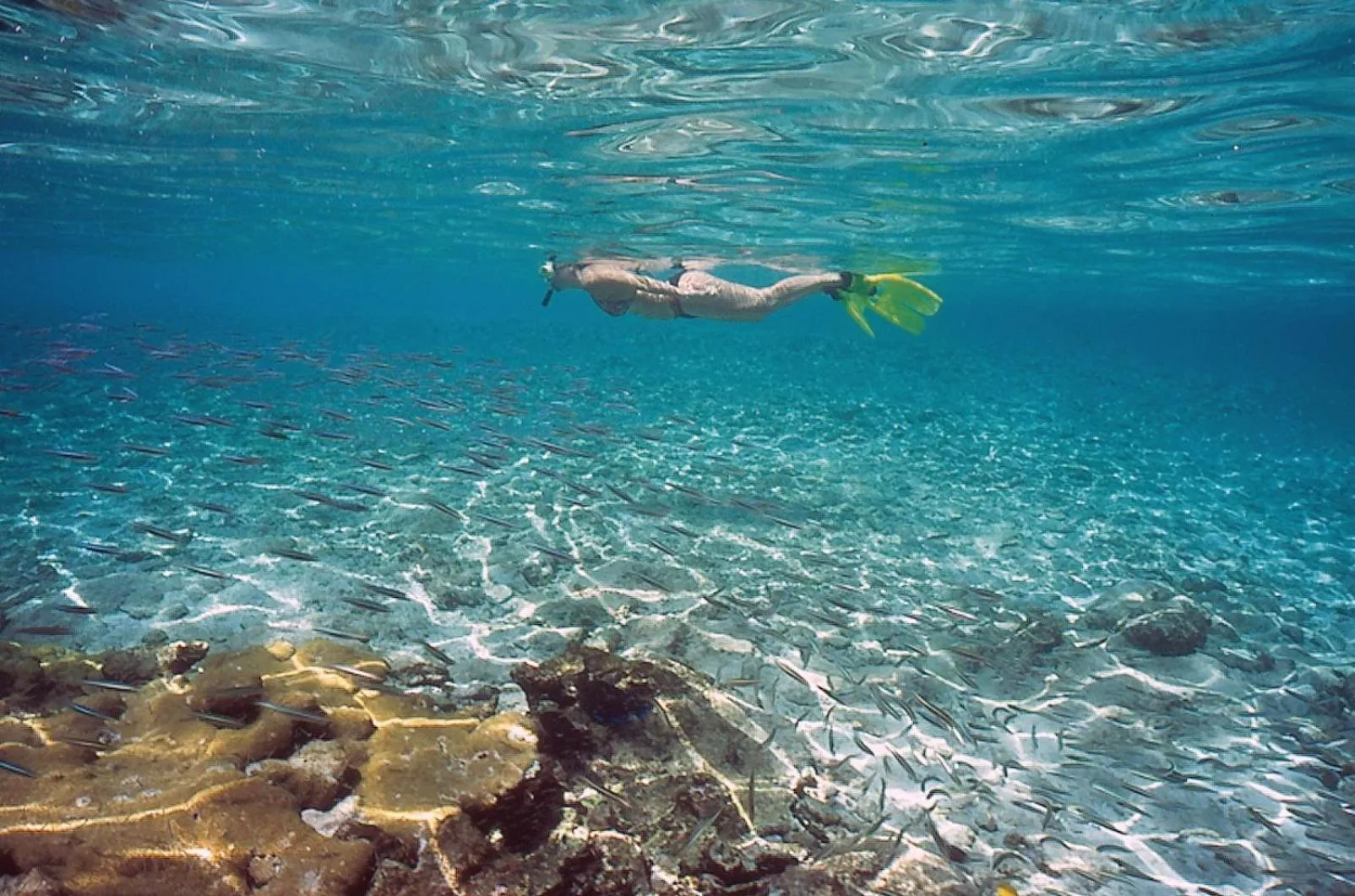 People in Thalelion 3 bedroom Villas with private pool and Jacuzzi