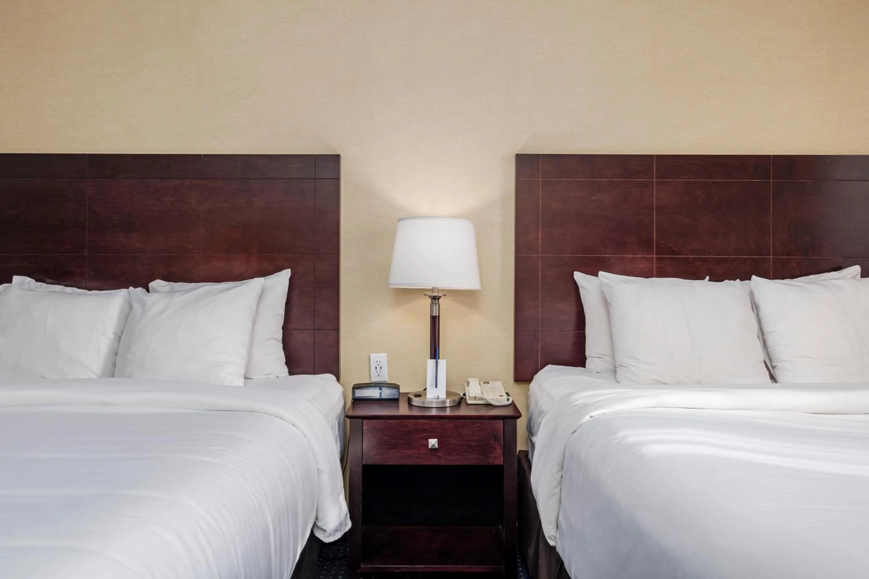 Bed in Comfort Inn - Gander