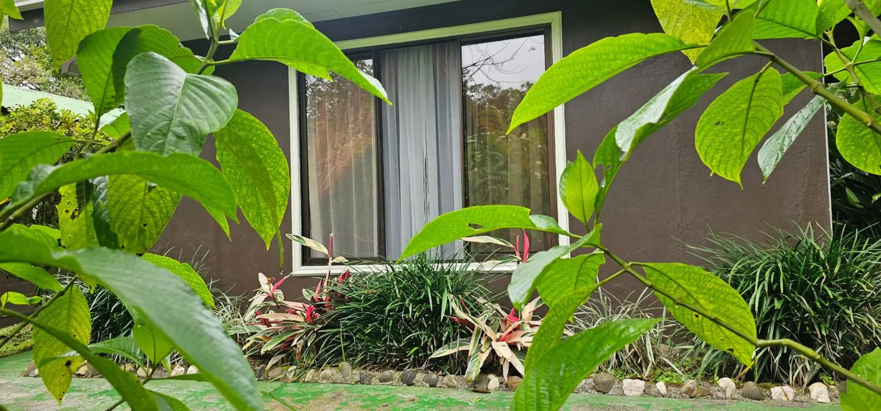 Classic Triple Room - single occupancy in Cabañas Green House Classic Triple Room - single occupancy in Cabañas Green House