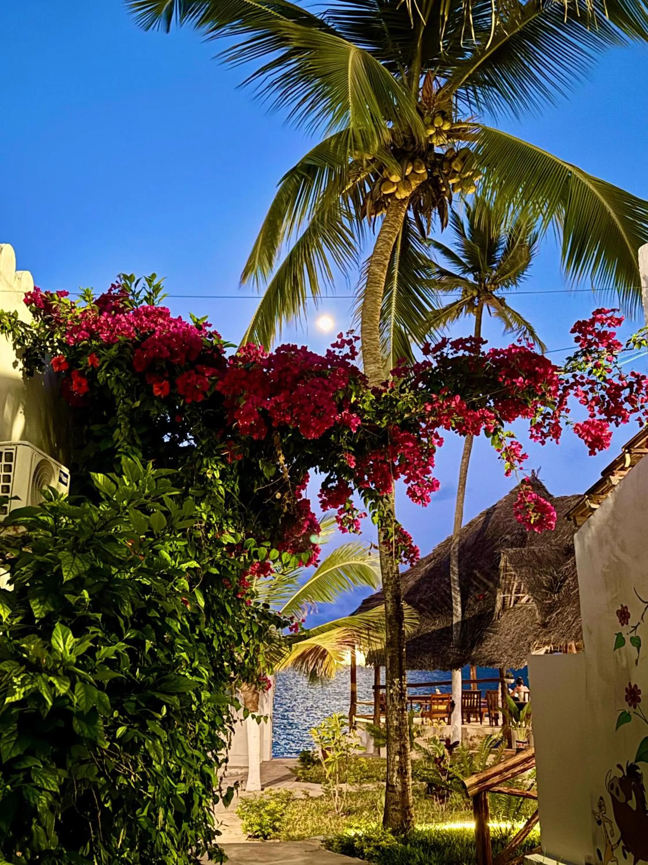 Property building in AVO Boutique Hotel