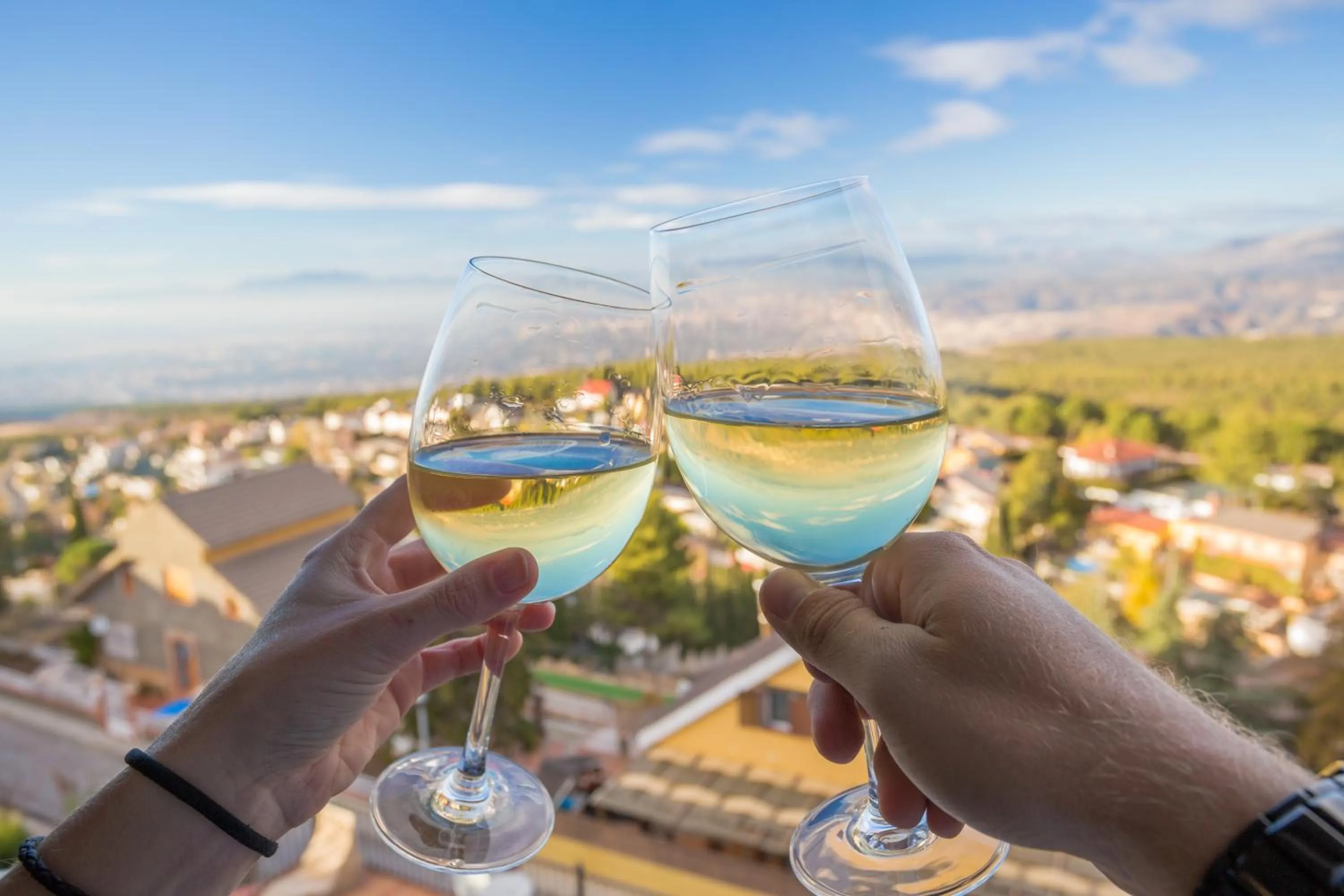 Restaurant/places to eat in Hotel El Balcon de las nieves