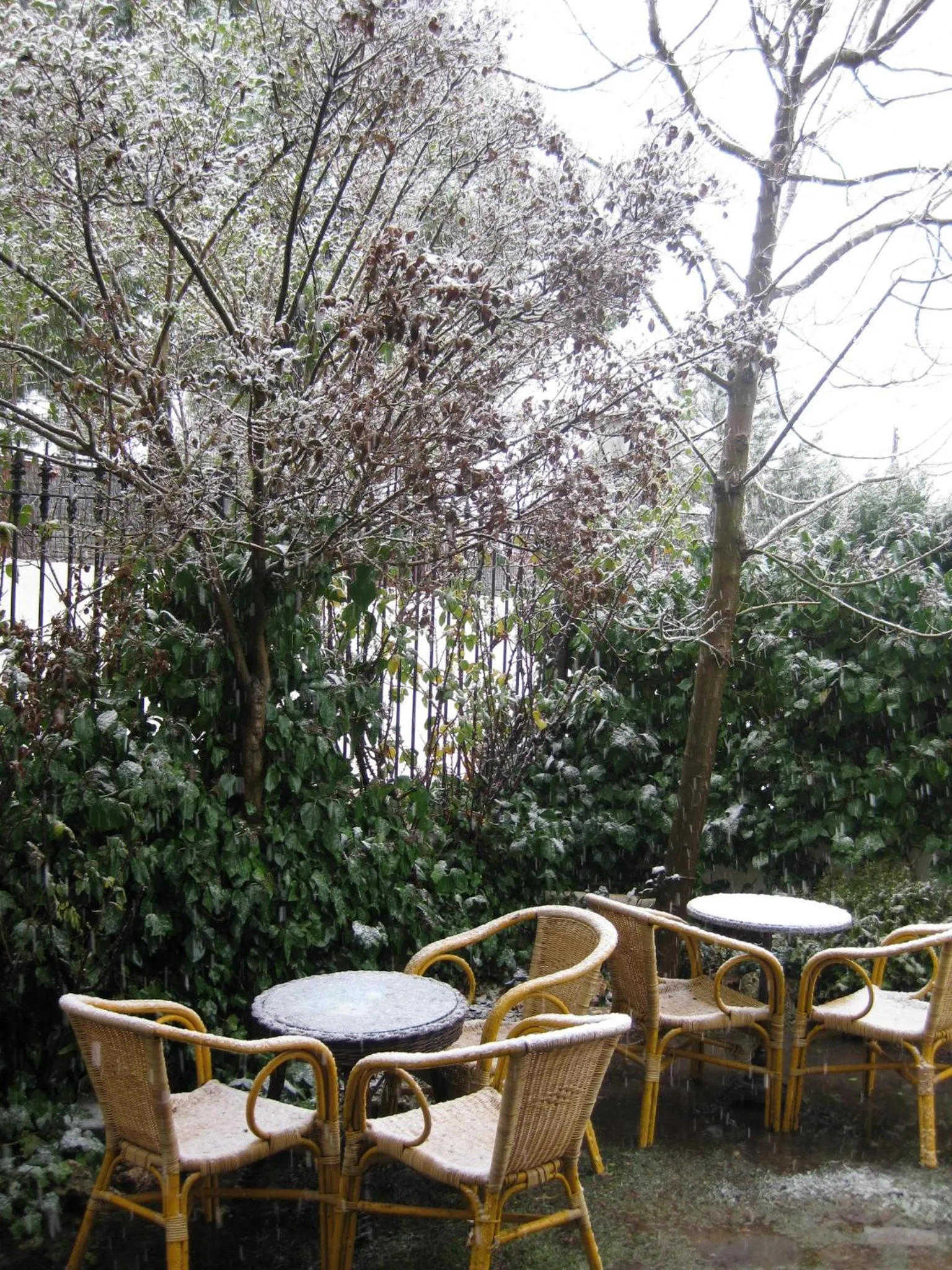 Garden in Hotel El Balcon de las nieves