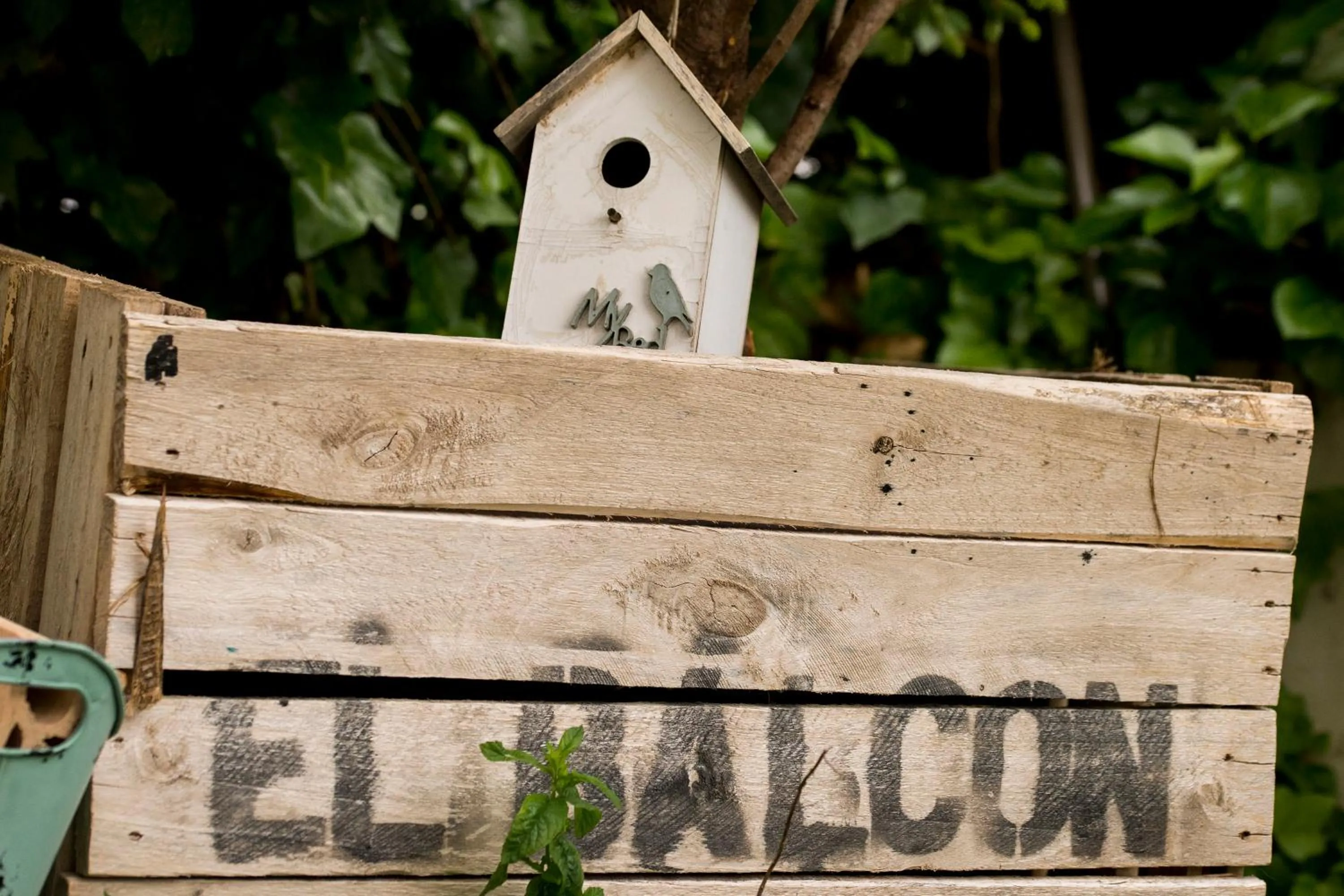Decorative detail in Hotel El Balcon de las nieves