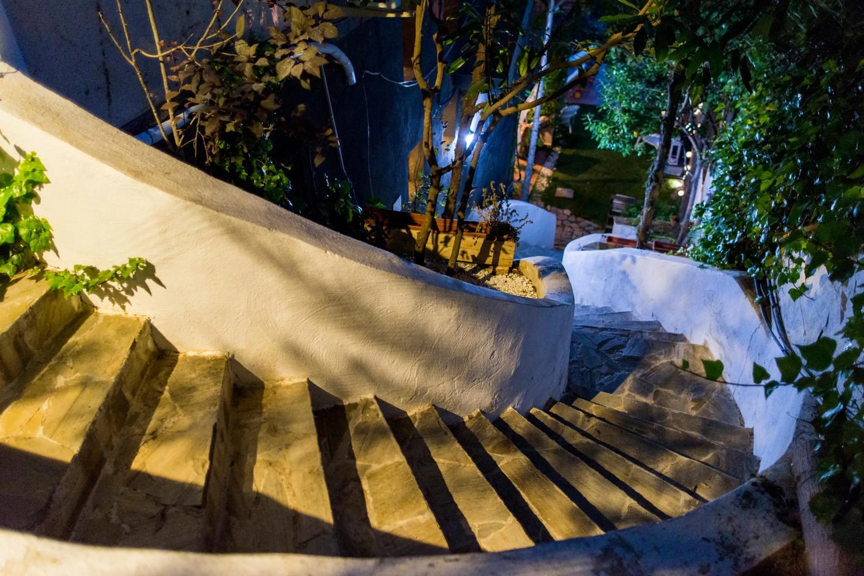 Garden in Hotel El Balcon de las nieves