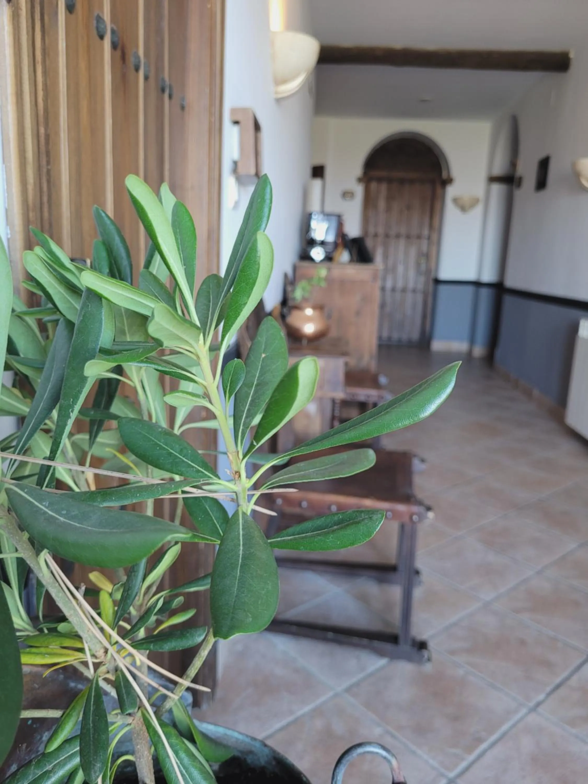 Hotel El Balcon de las nieves