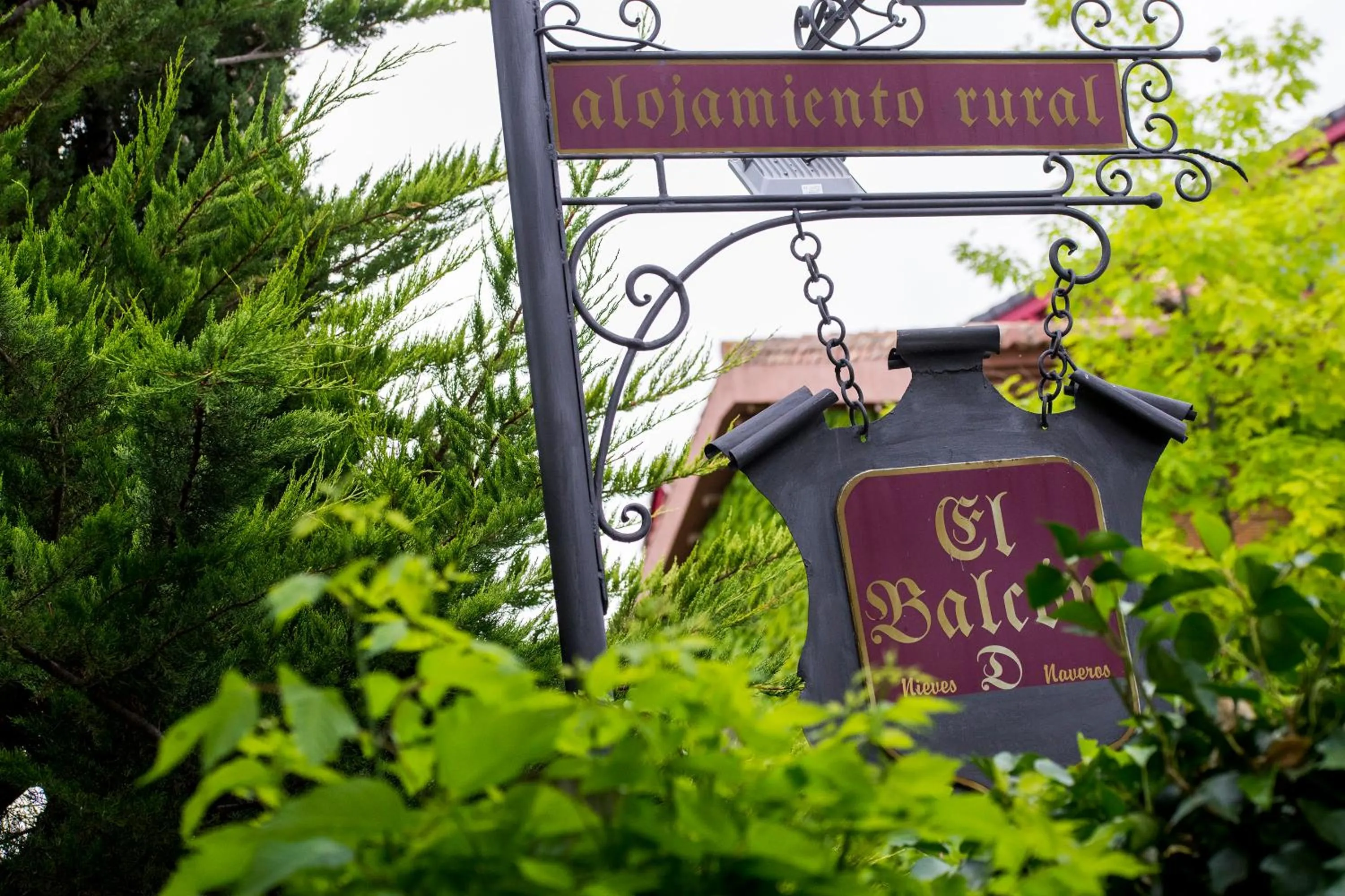 Decorative detail in Hotel El Balcon de las nieves