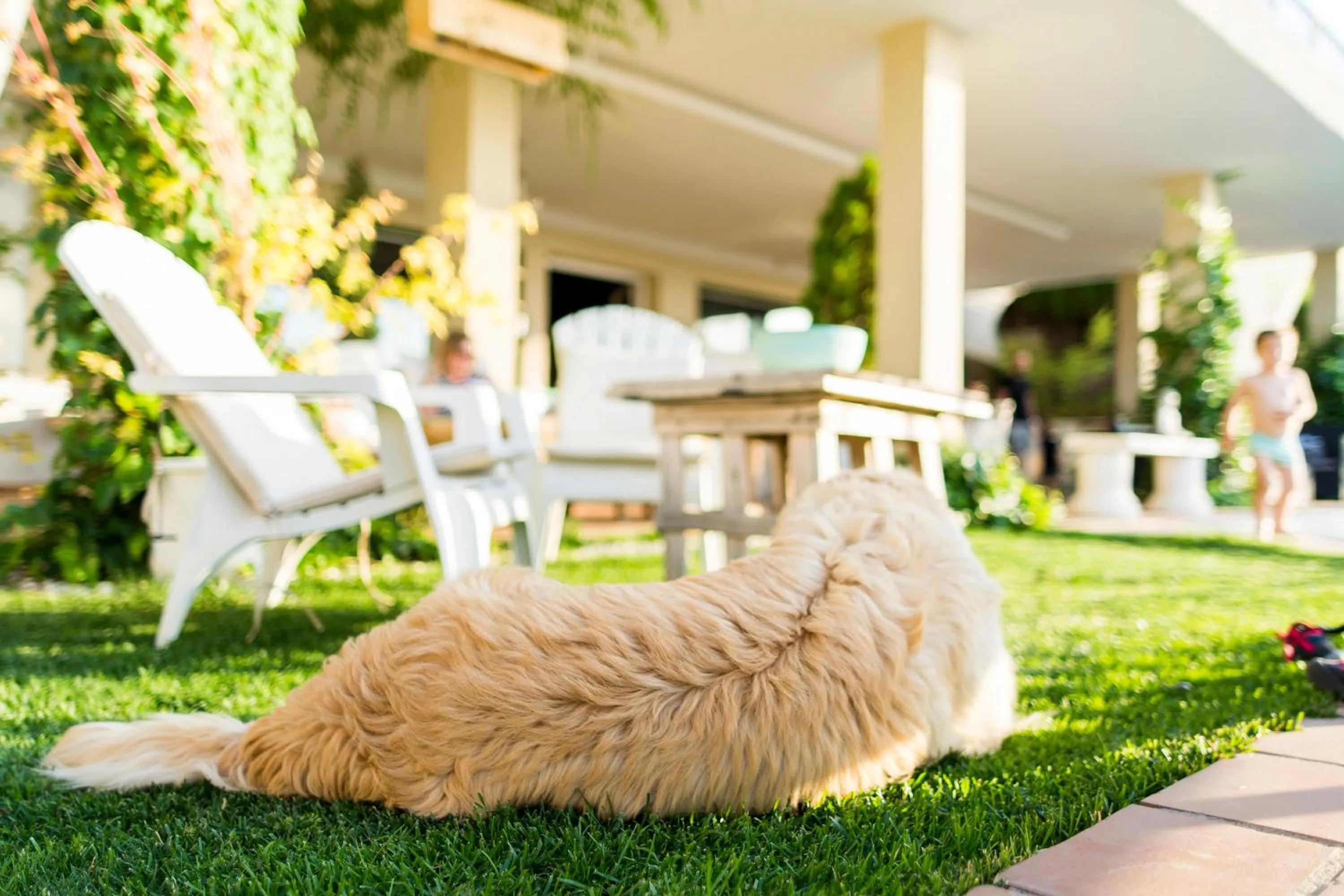 Garden in Hotel El Balcon de las nieves