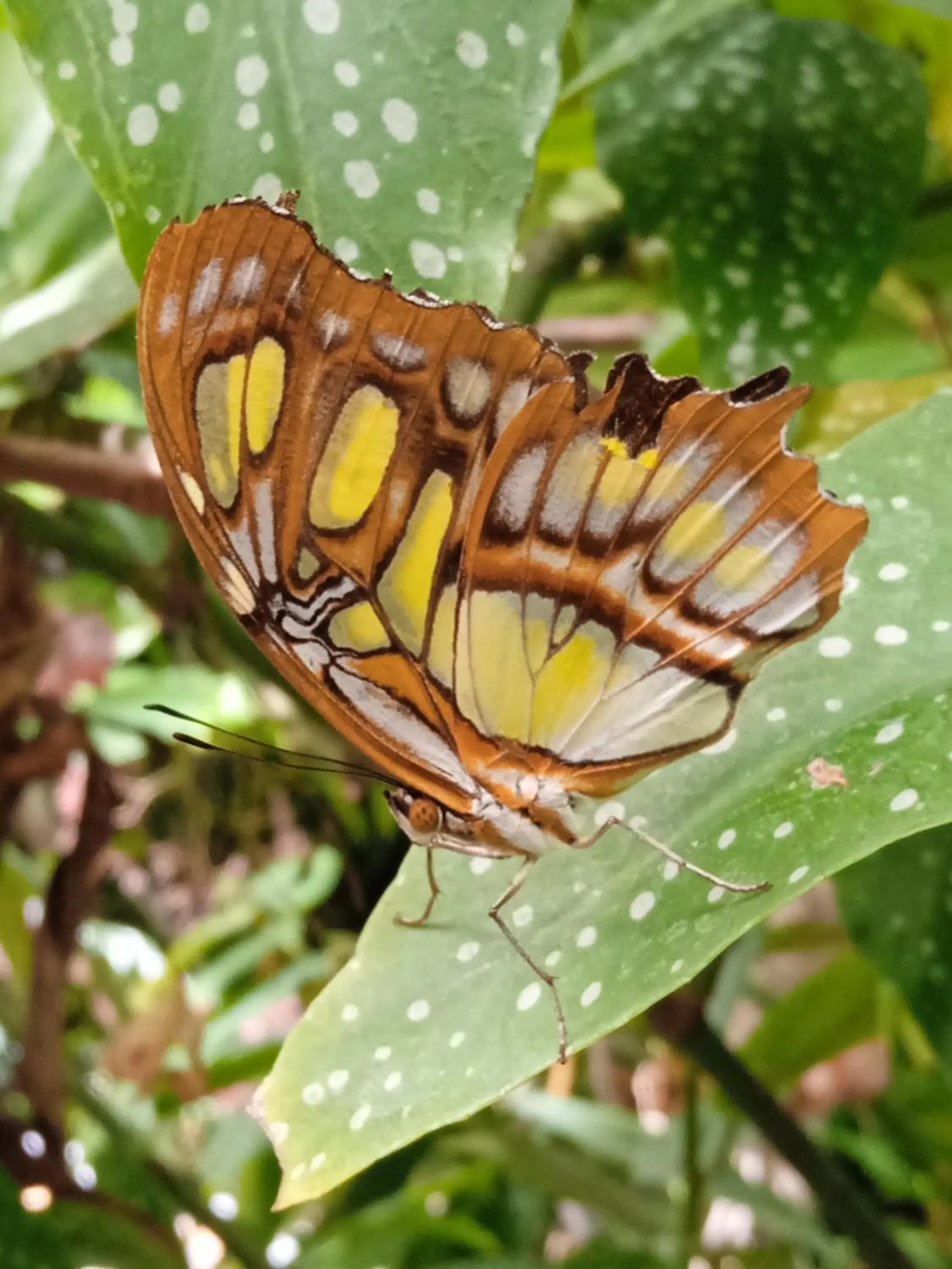 Activities in Hotel Buenos Aires