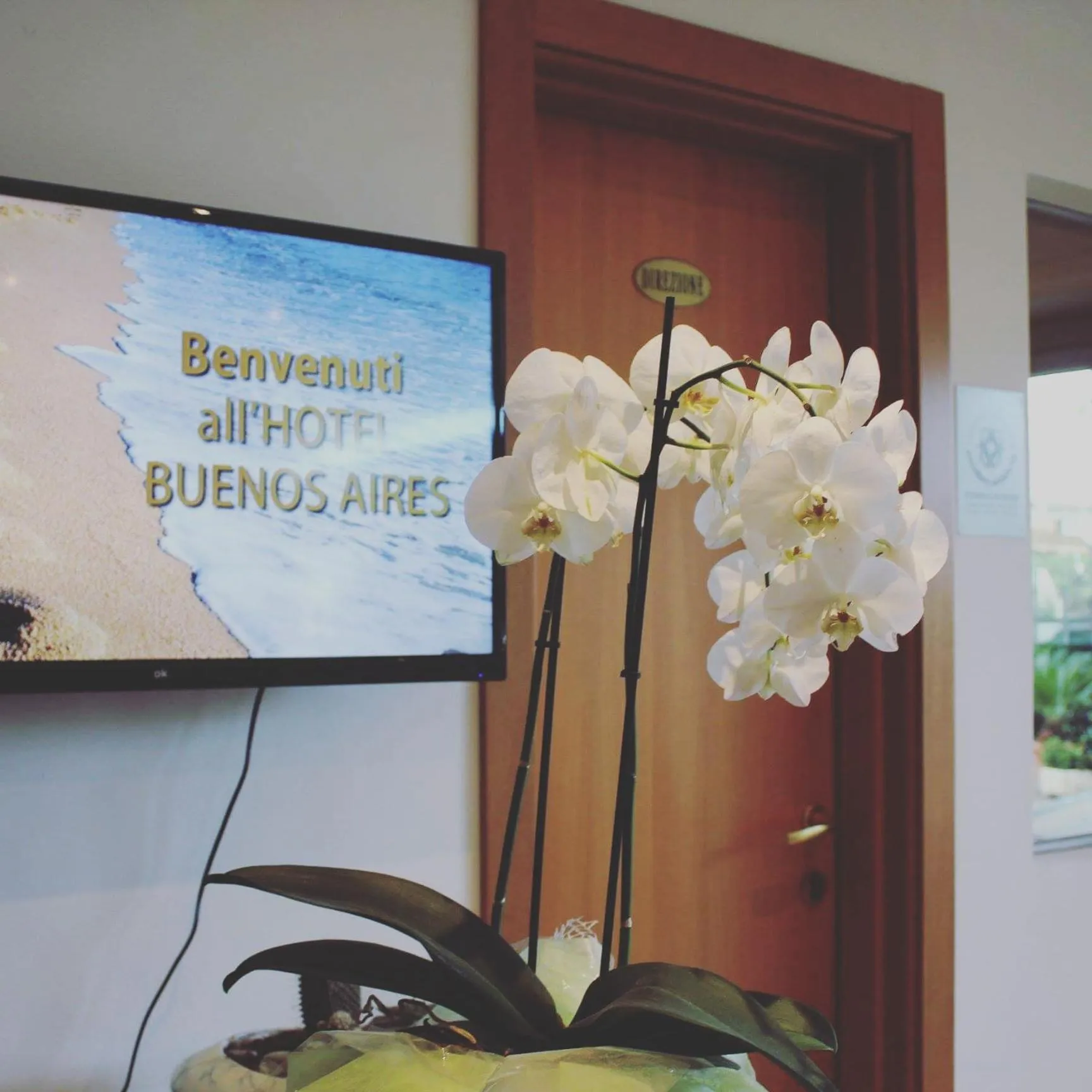 Summer in Hotel Buenos Aires