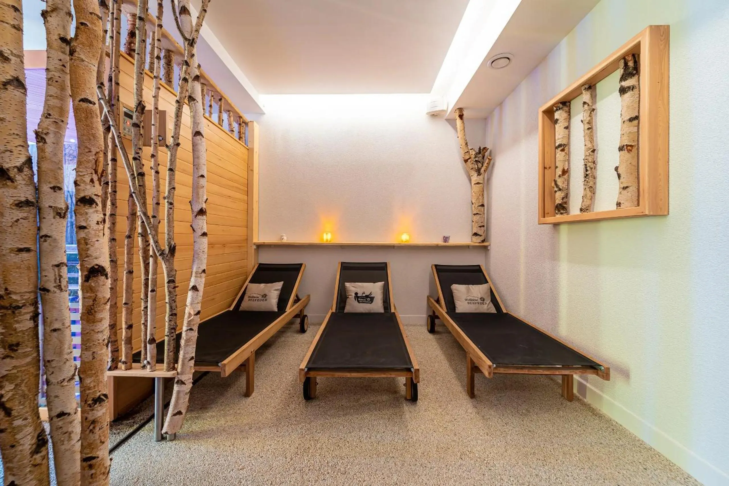 Sauna in Aparthotel Belveder