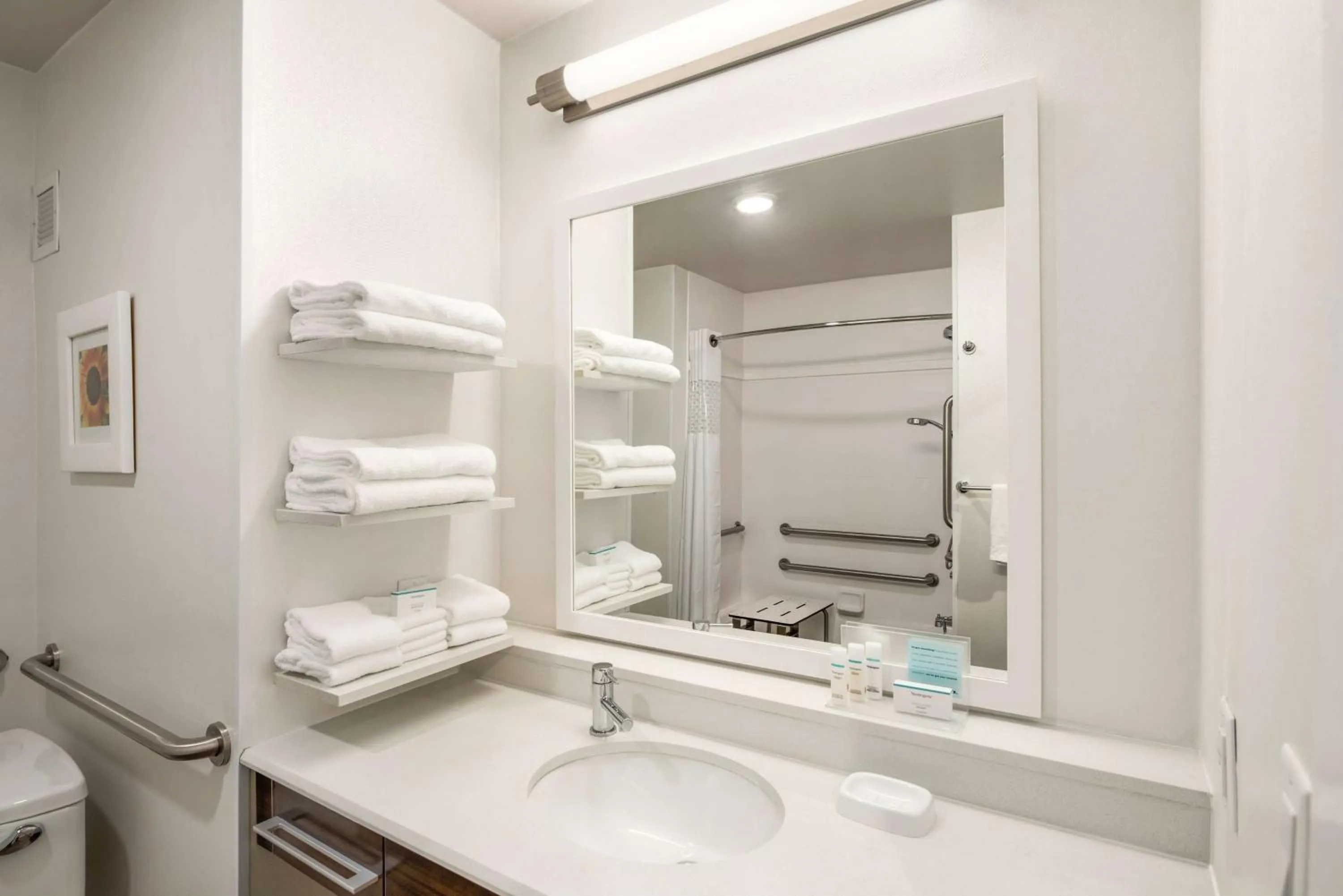 Bathroom in Hampton Inn & Suites - Lavonia, GA