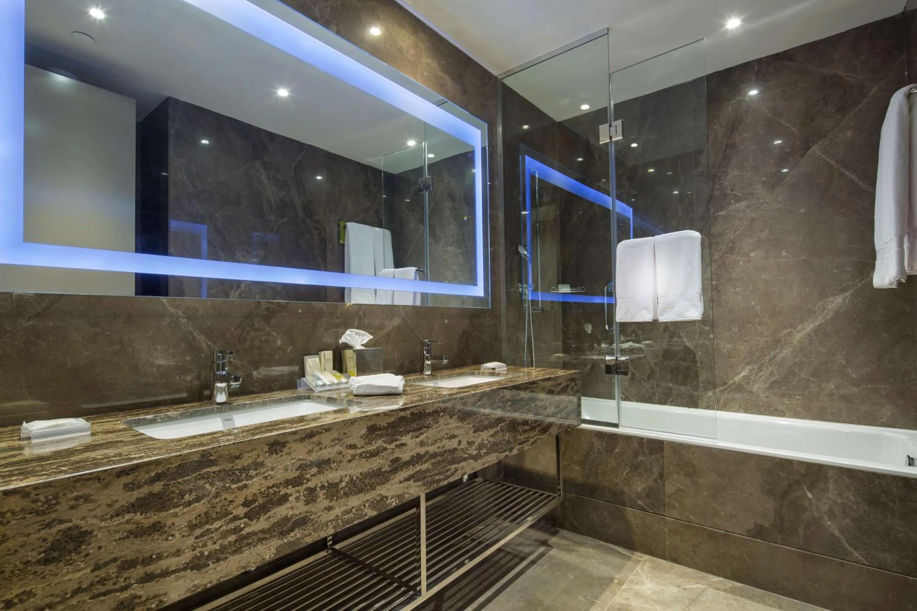 Bathroom in Hilton Garden Inn Istanbul Atatürk Airport