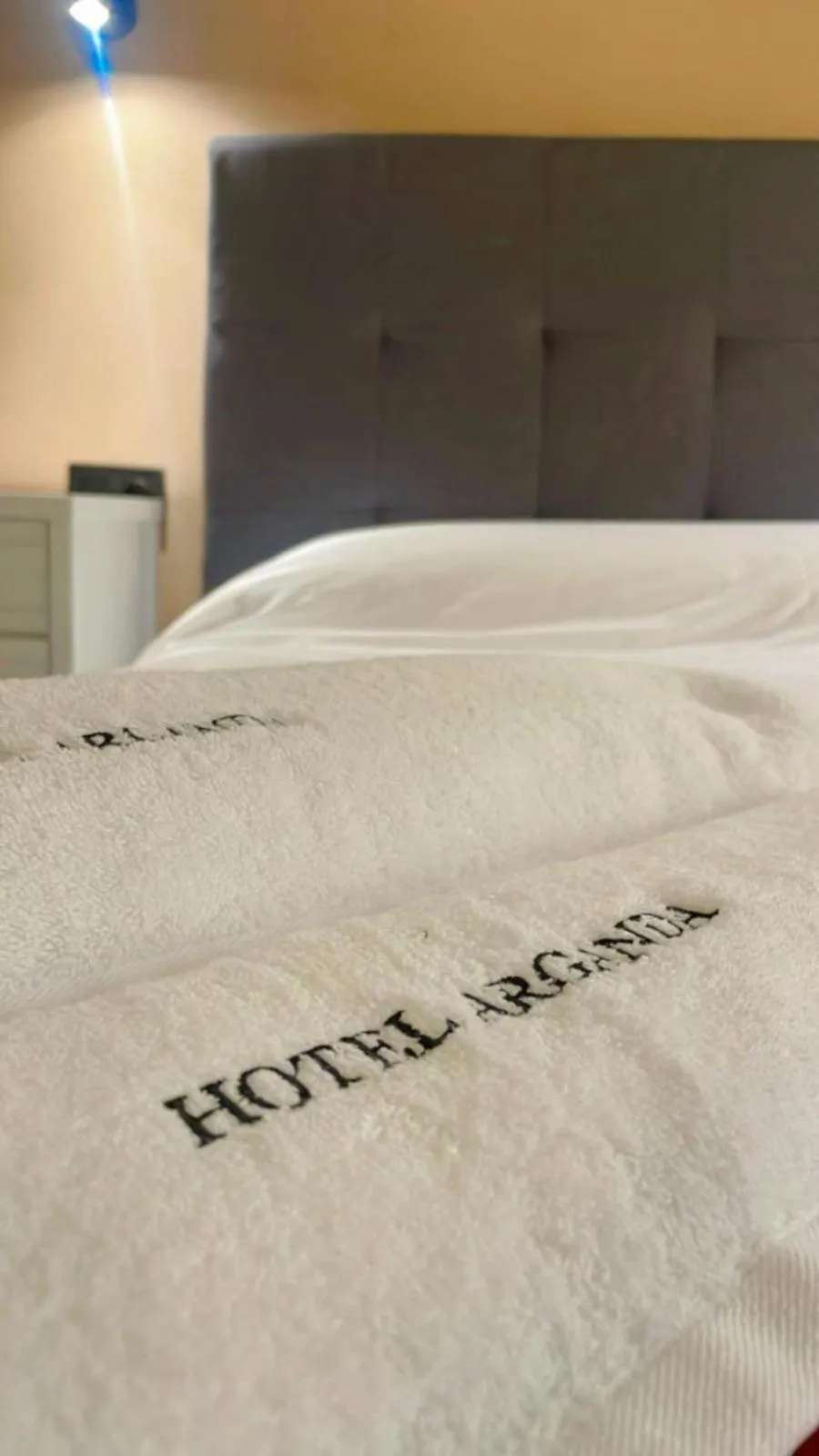 towels, Bed in Hotel Arganda