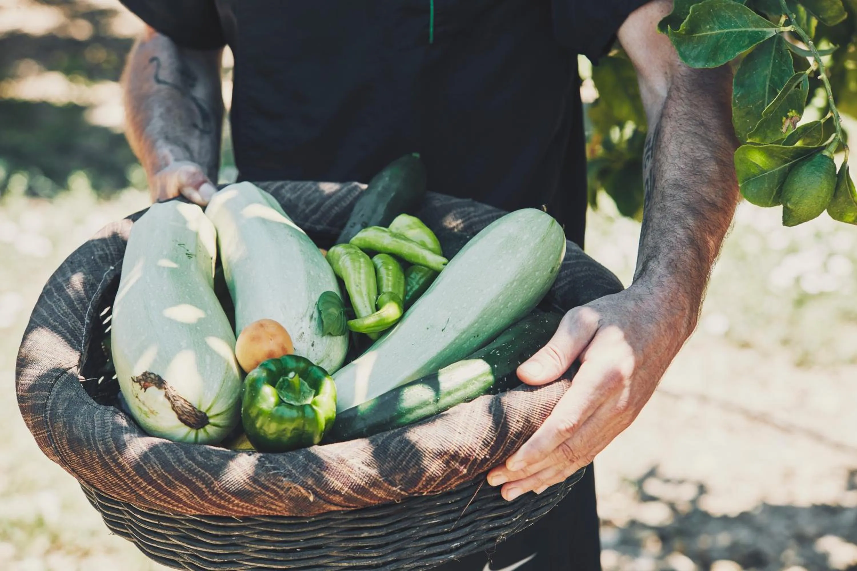 Food in Yria Island Boutique Hotel & Spa