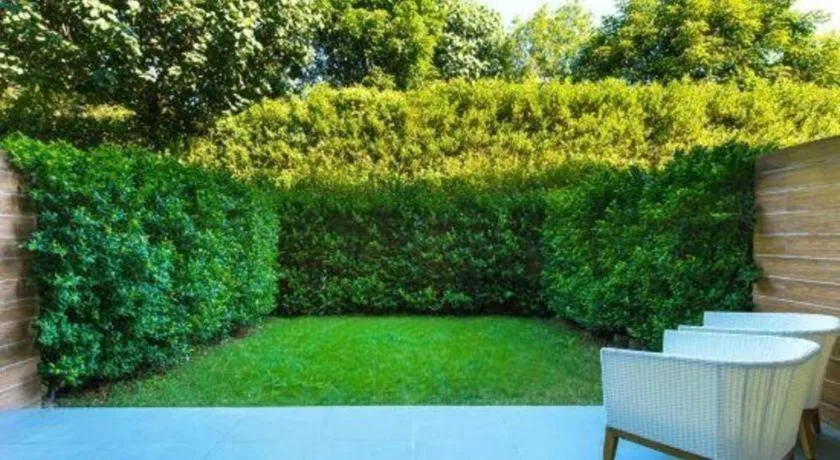 The Mulian Urban Resort Hotels Huadu