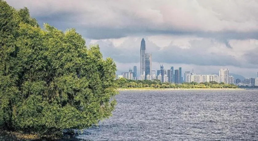 Seaview Gleetour Hotel Shenzhen Eastwing building