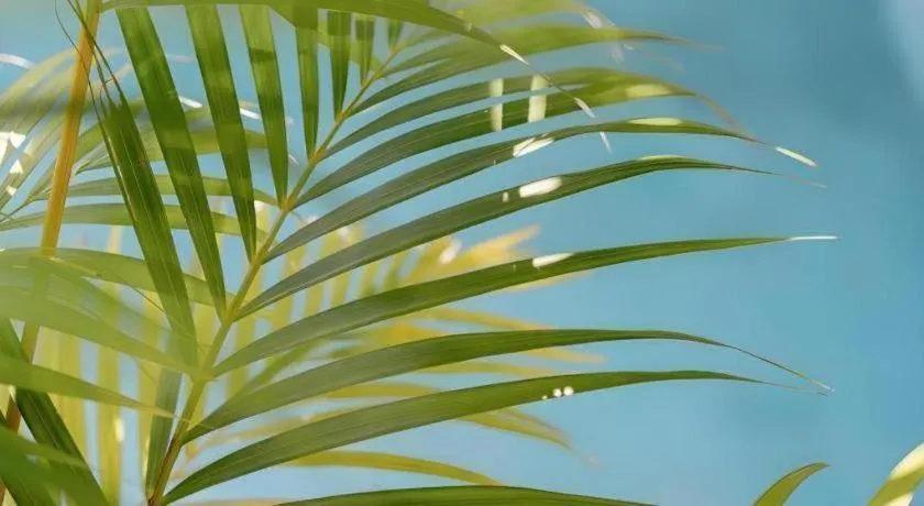 Batu Karang Lembongan Resort & Spa