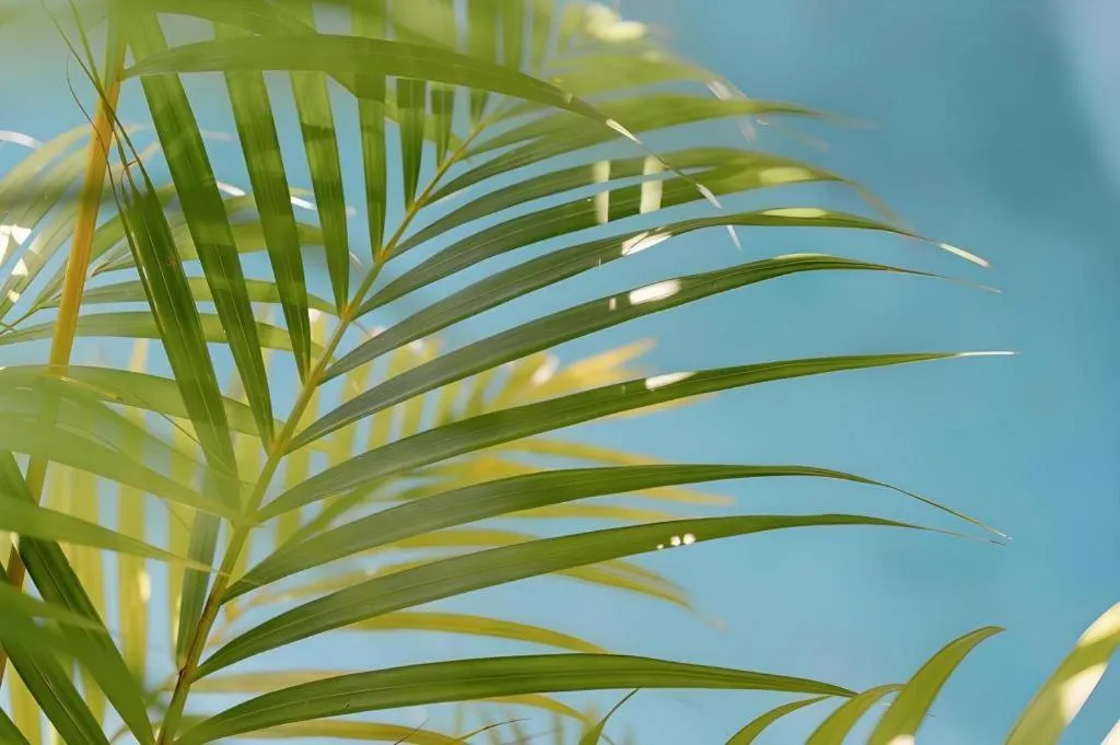 Batu Karang Lembongan Resort & Spa