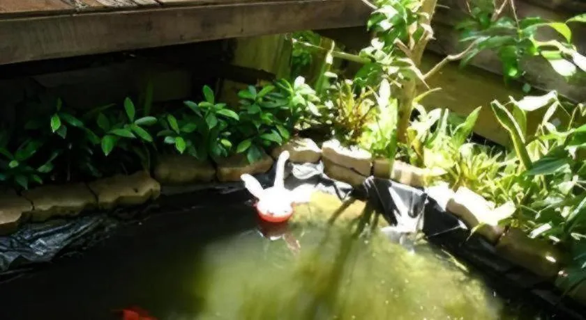 Baan ChanKhiang at ChiangKhan