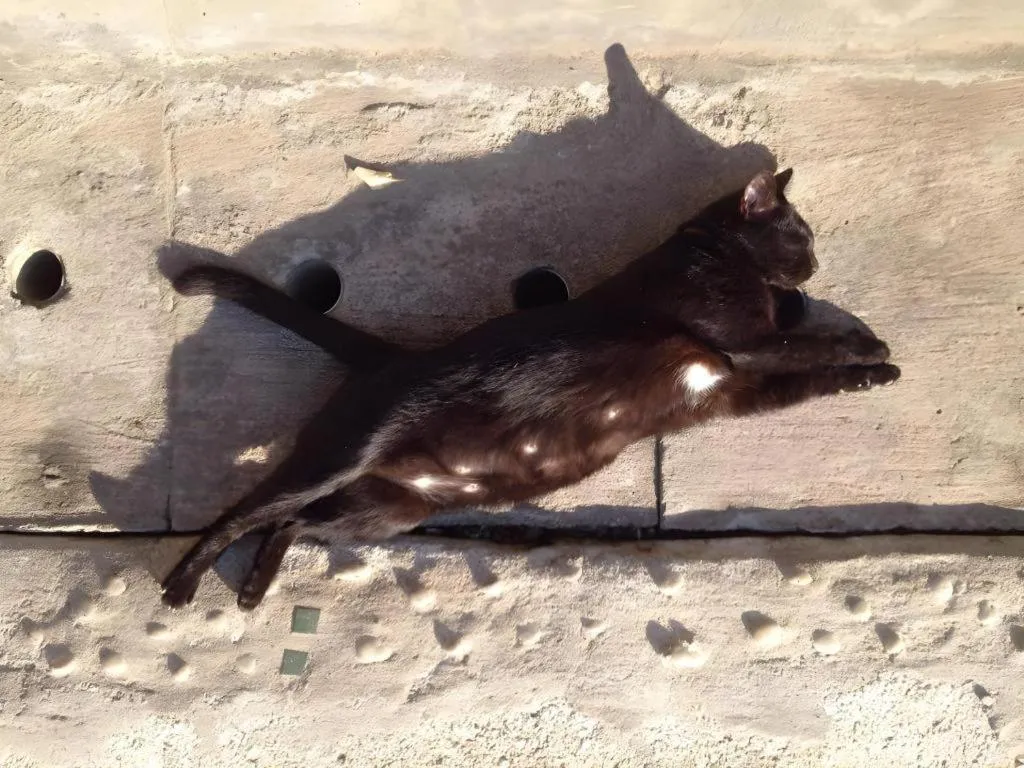 Baan ChanKhiang at ChiangKhan