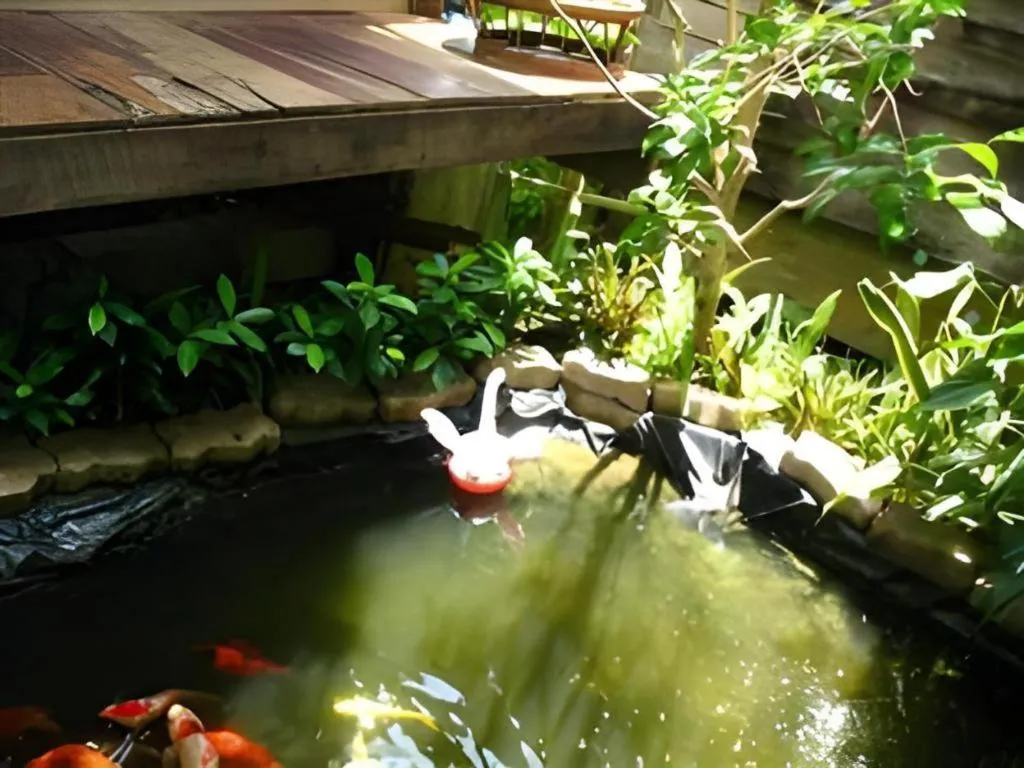 Baan ChanKhiang at ChiangKhan