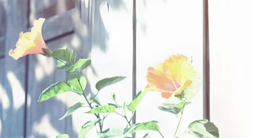 Baan ChanKhiang at ChiangKhan