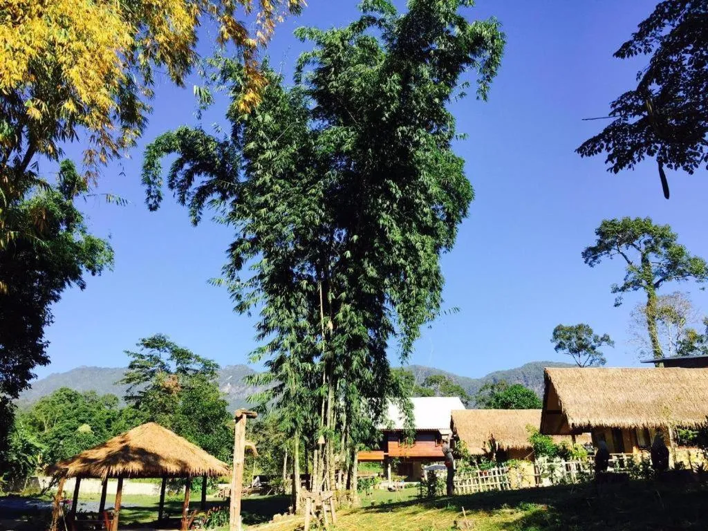 Chiang Dao Hut