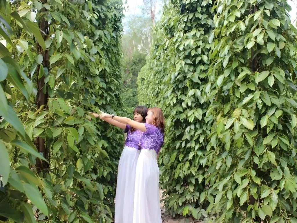 Pepper Farm Phu Quoc Bungalow