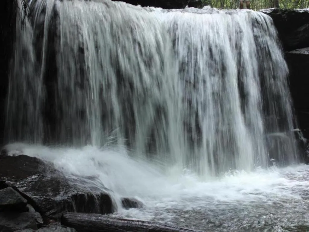 Pepper Farm Phu Quoc Bungalow