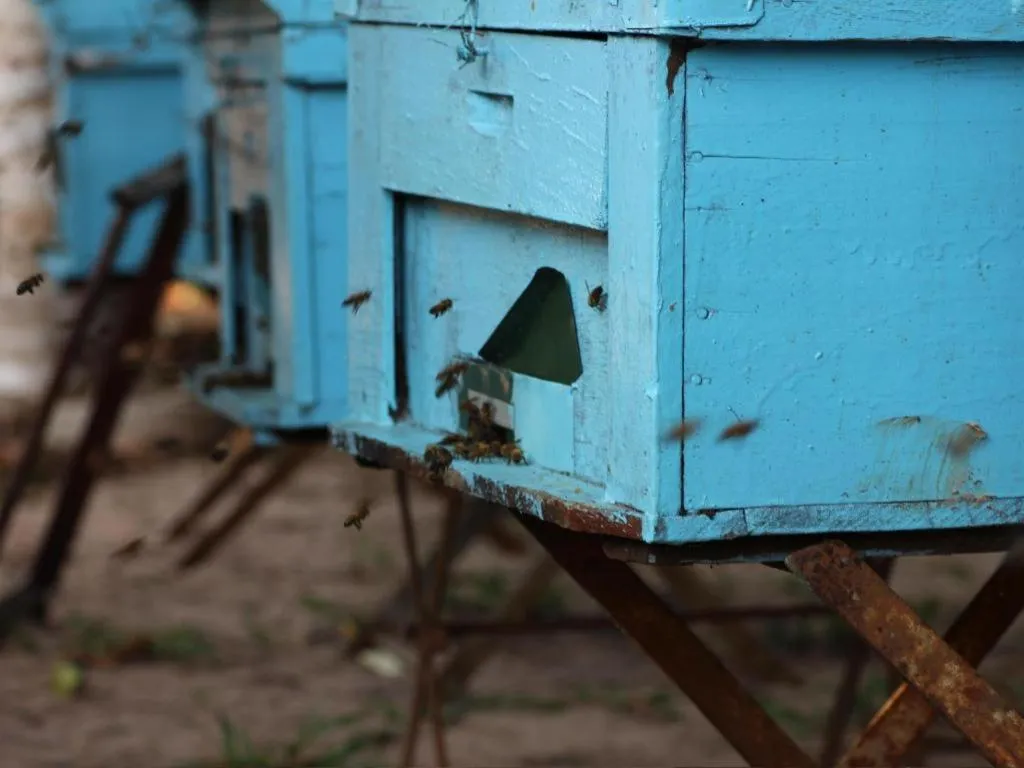 Pepper Farm Phu Quoc Bungalow