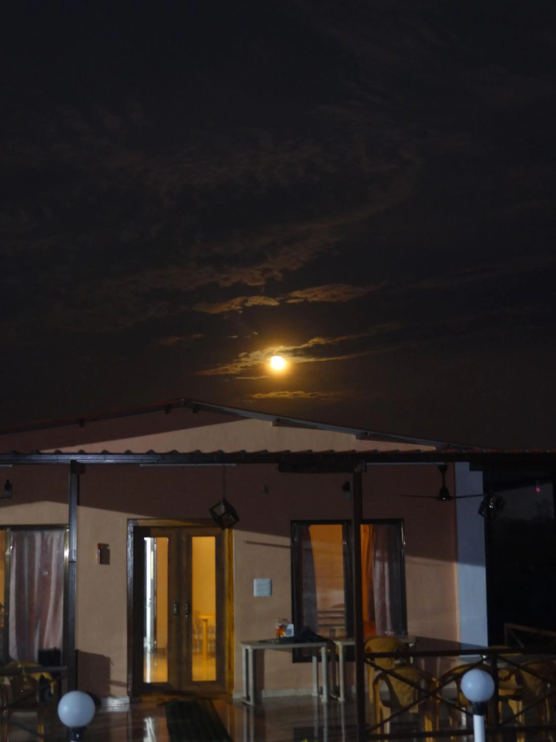 Night in The Malshej Mist