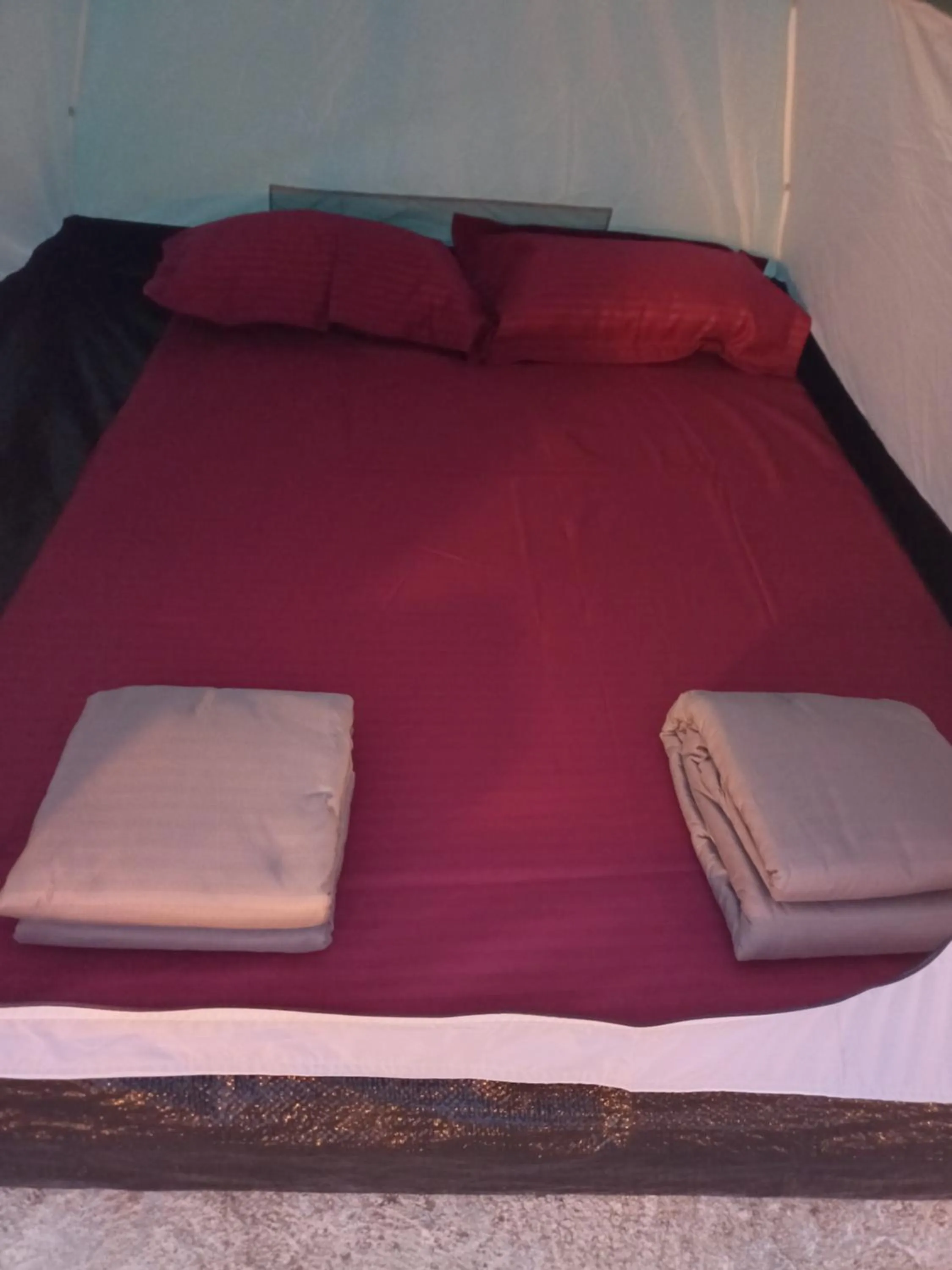 Bed in The Malshej Mist