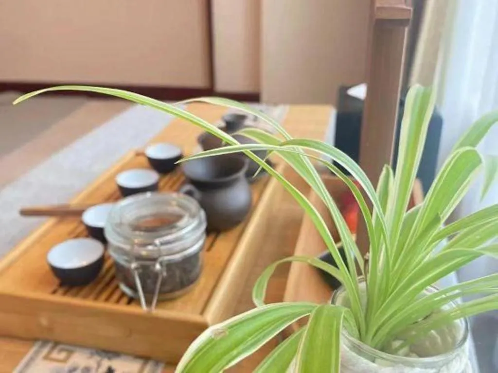 Dolton Changsha Spa Hotel