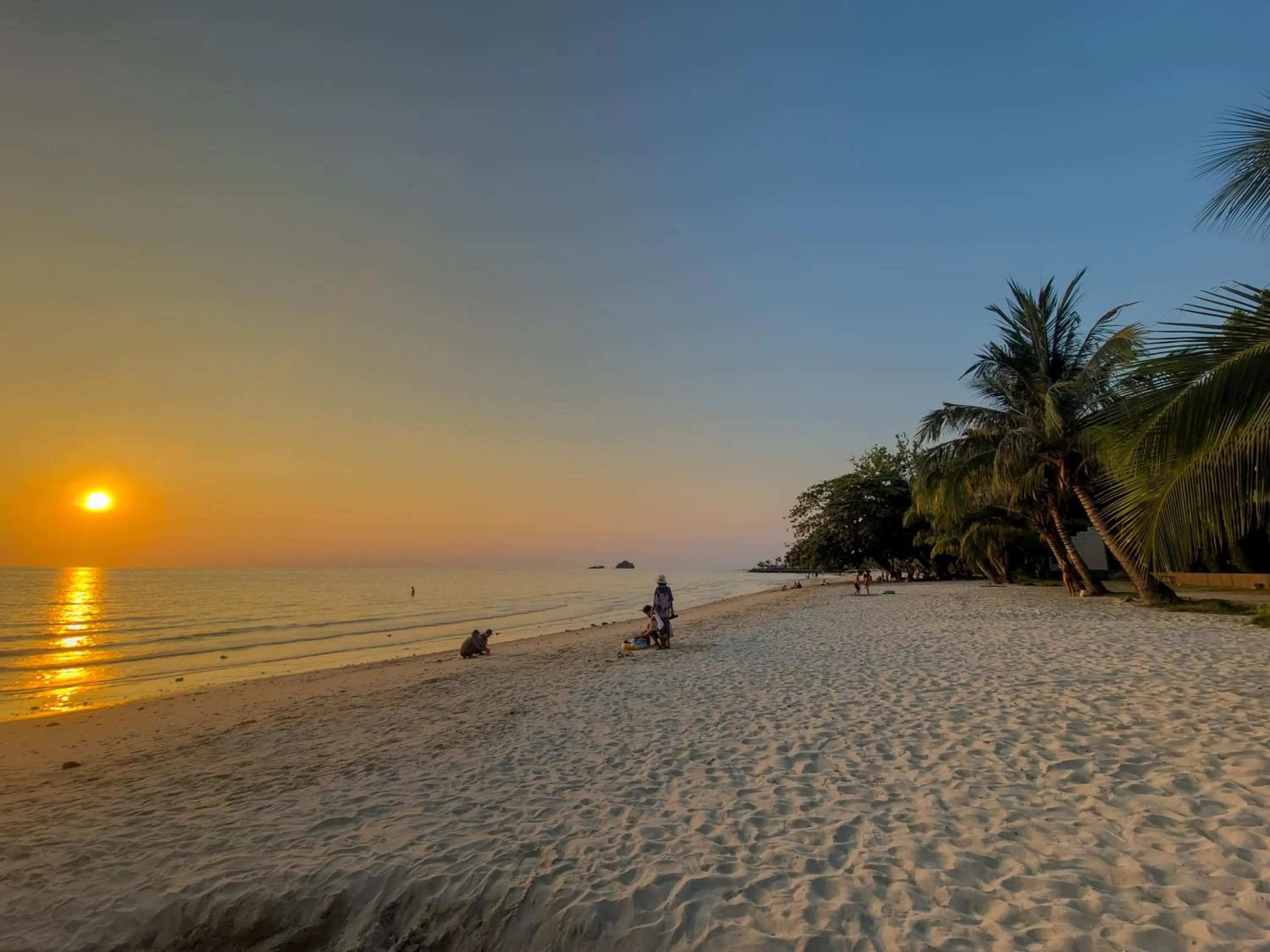 Beach in Slumber Party Beach Club and Resort Koh Phangan