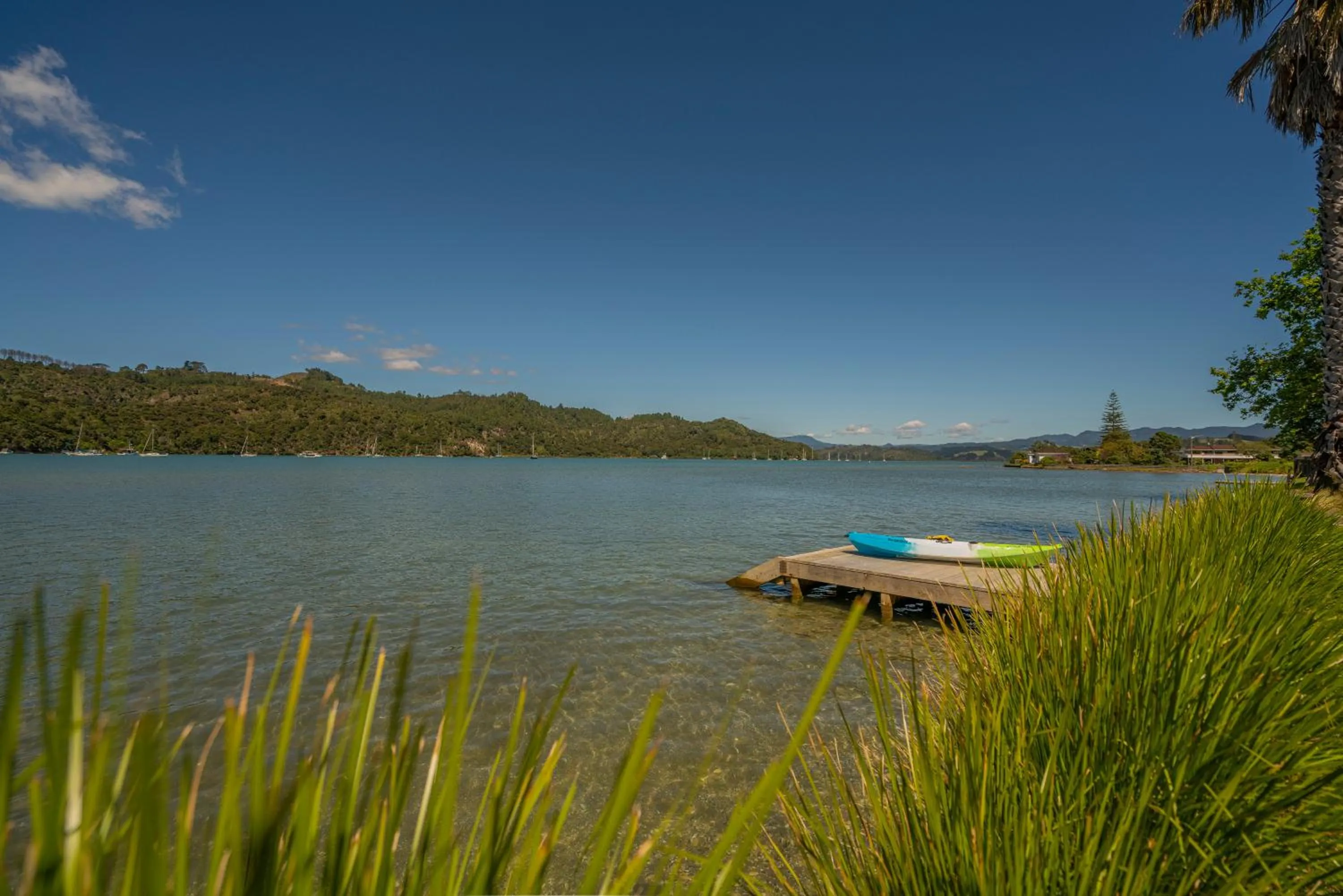 Natural landscape in Oceans 88 Whitianga Coastal Suites