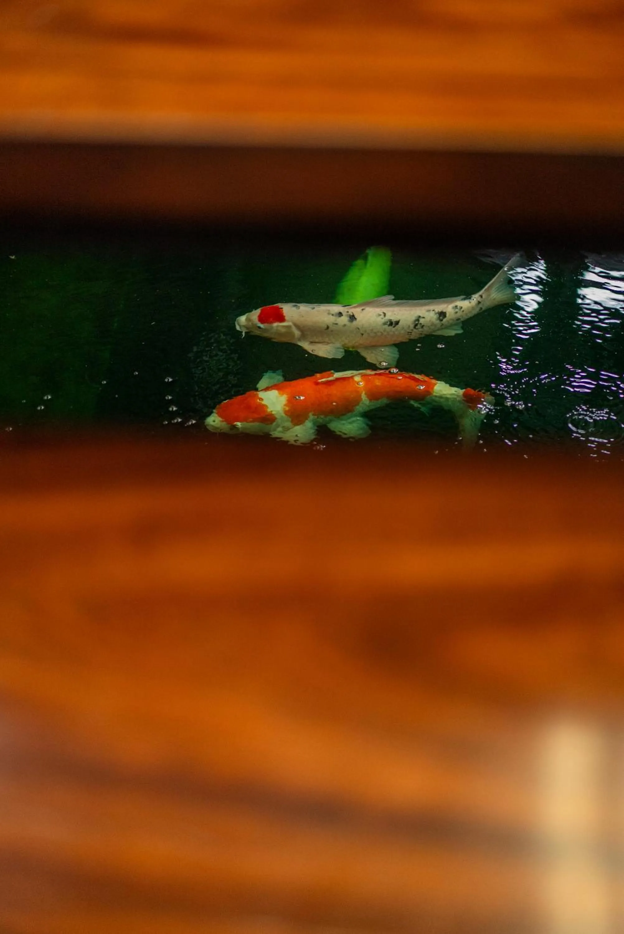 The Hotel Journal Chiangmai