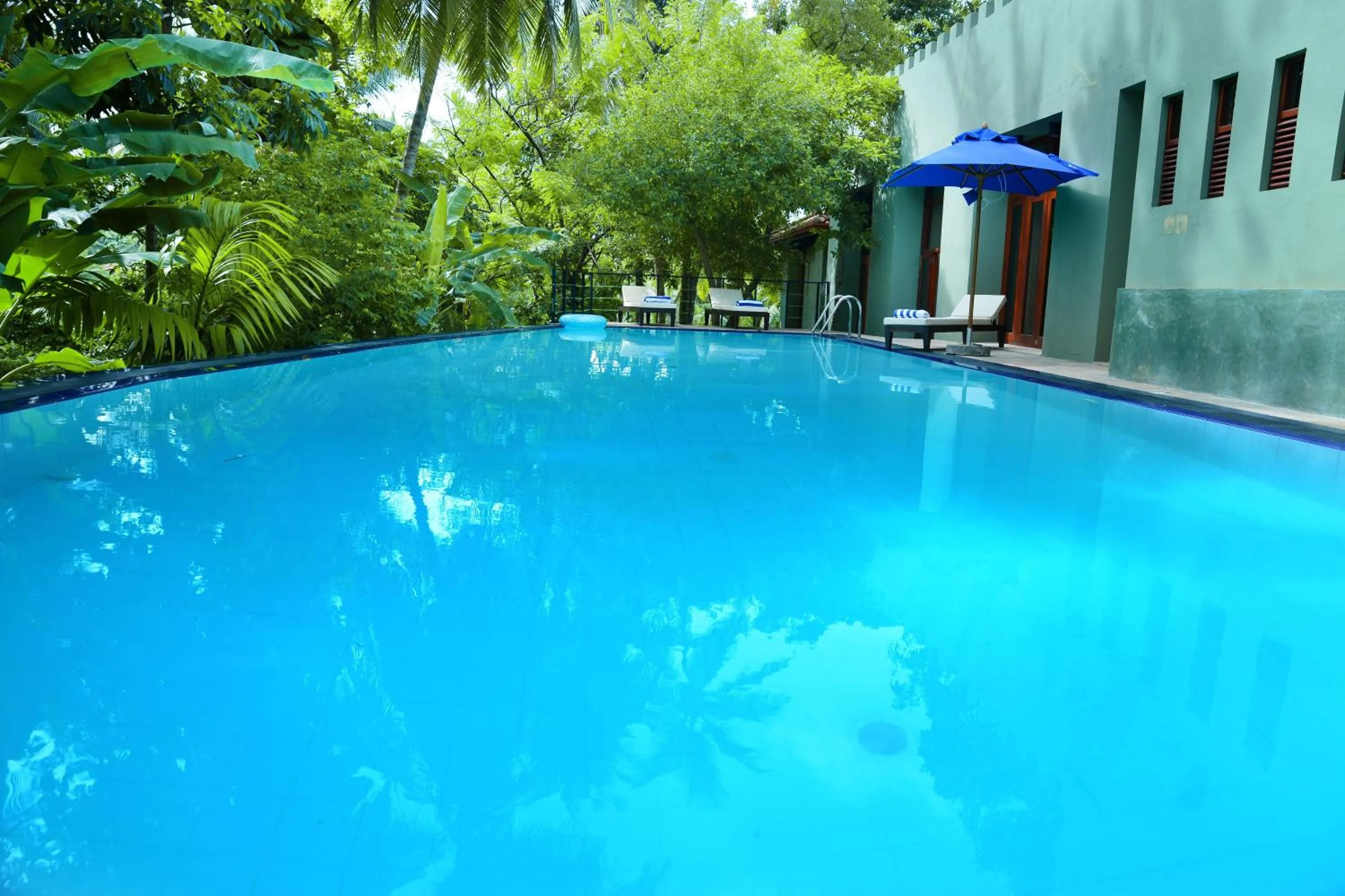 Swimming pool in Tropical Retreat