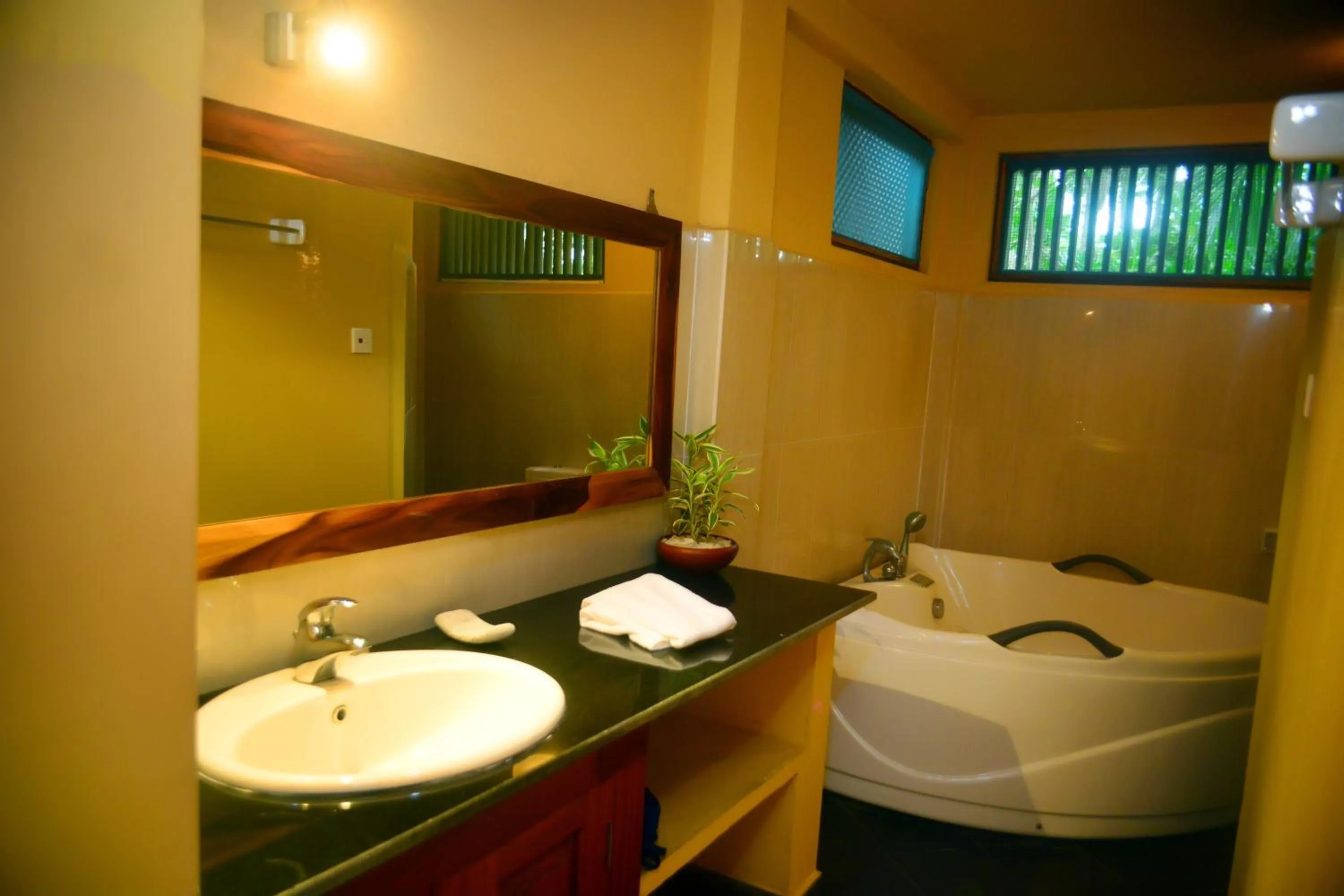 Shower in Tropical Retreat